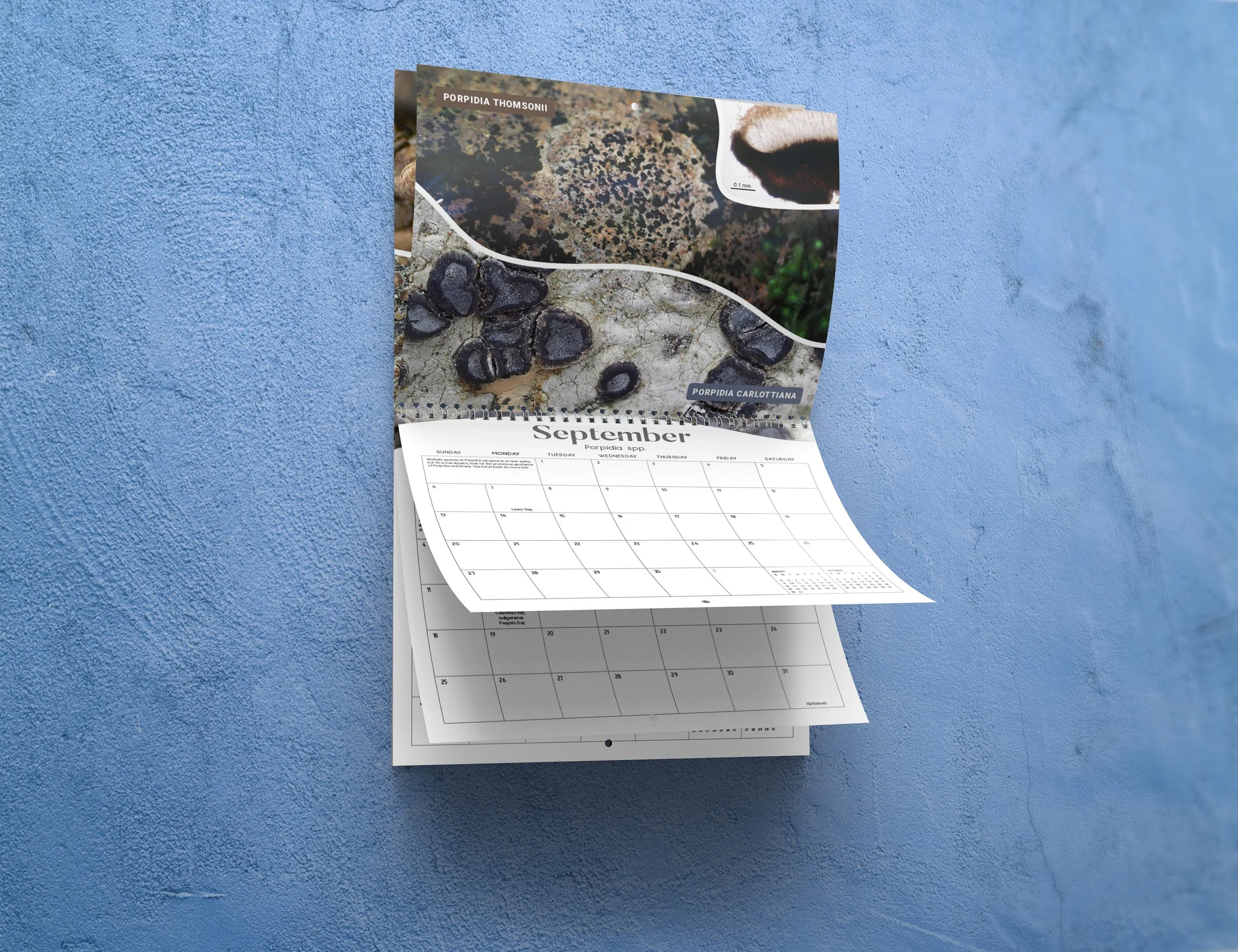 8.5x11 Wall Calendar Mockups 05.jpg