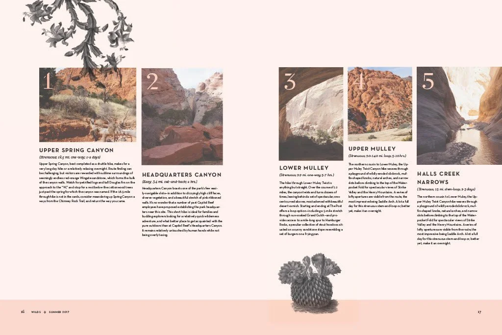 Wilds PDF1024_10.jpg