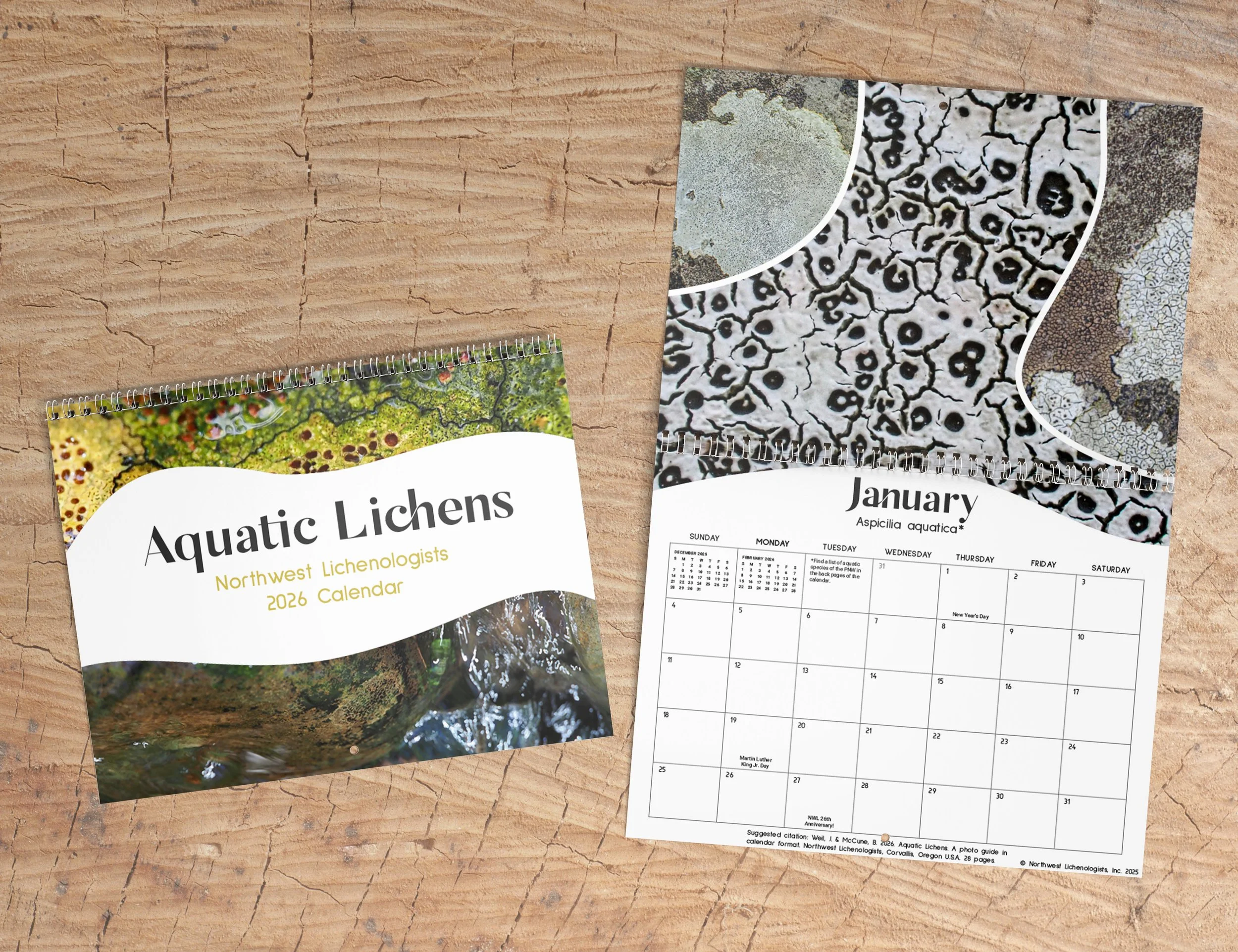 Northwest Lichenologist Calendar | Print Design
