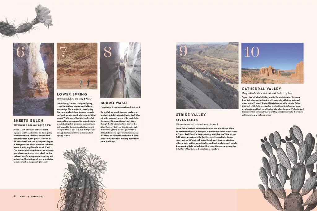 Wilds PDF1024_11.jpg