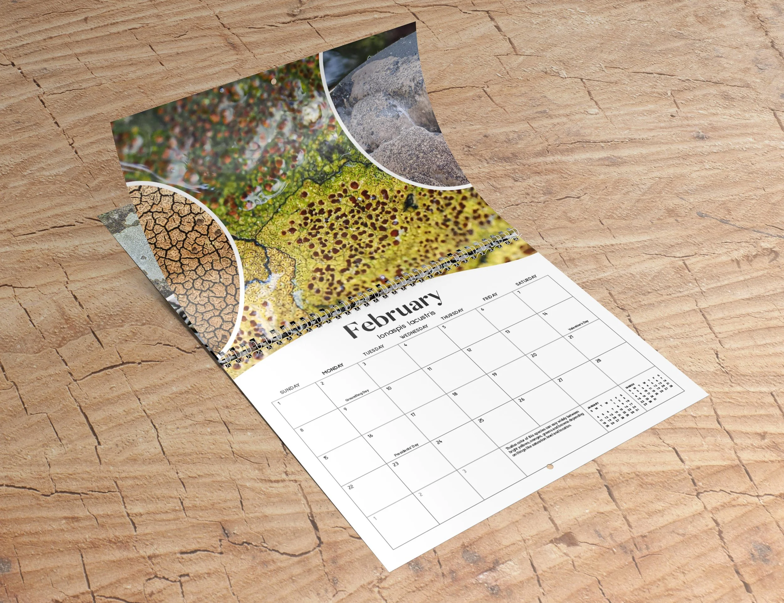 8.5x11 Wall Calendar Mockups 02.jpg