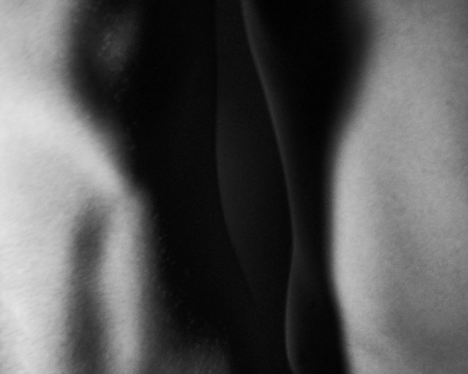 Close-up of a person's buttocks covered by dark clothing in black and white
