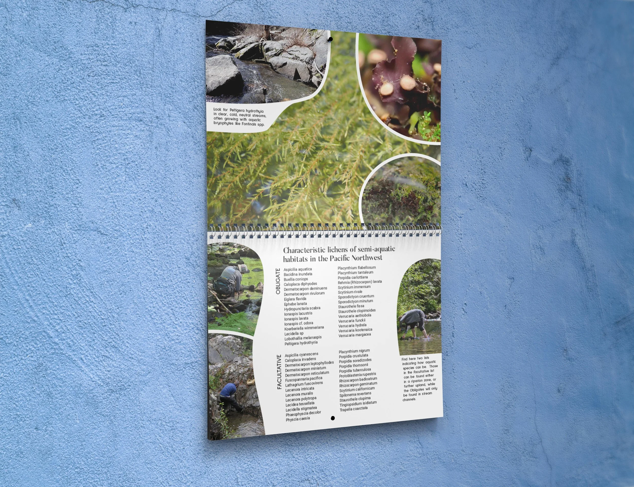 8.5x11 Wall Calendar Mockups 04.jpg