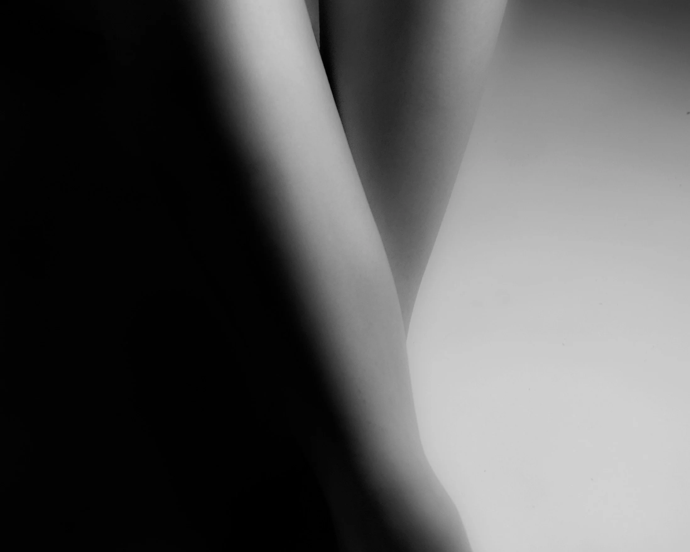 Close-up black and white photograph of cylindrical and conical shapes with smooth surfaces, overlapping in an abstract composition.