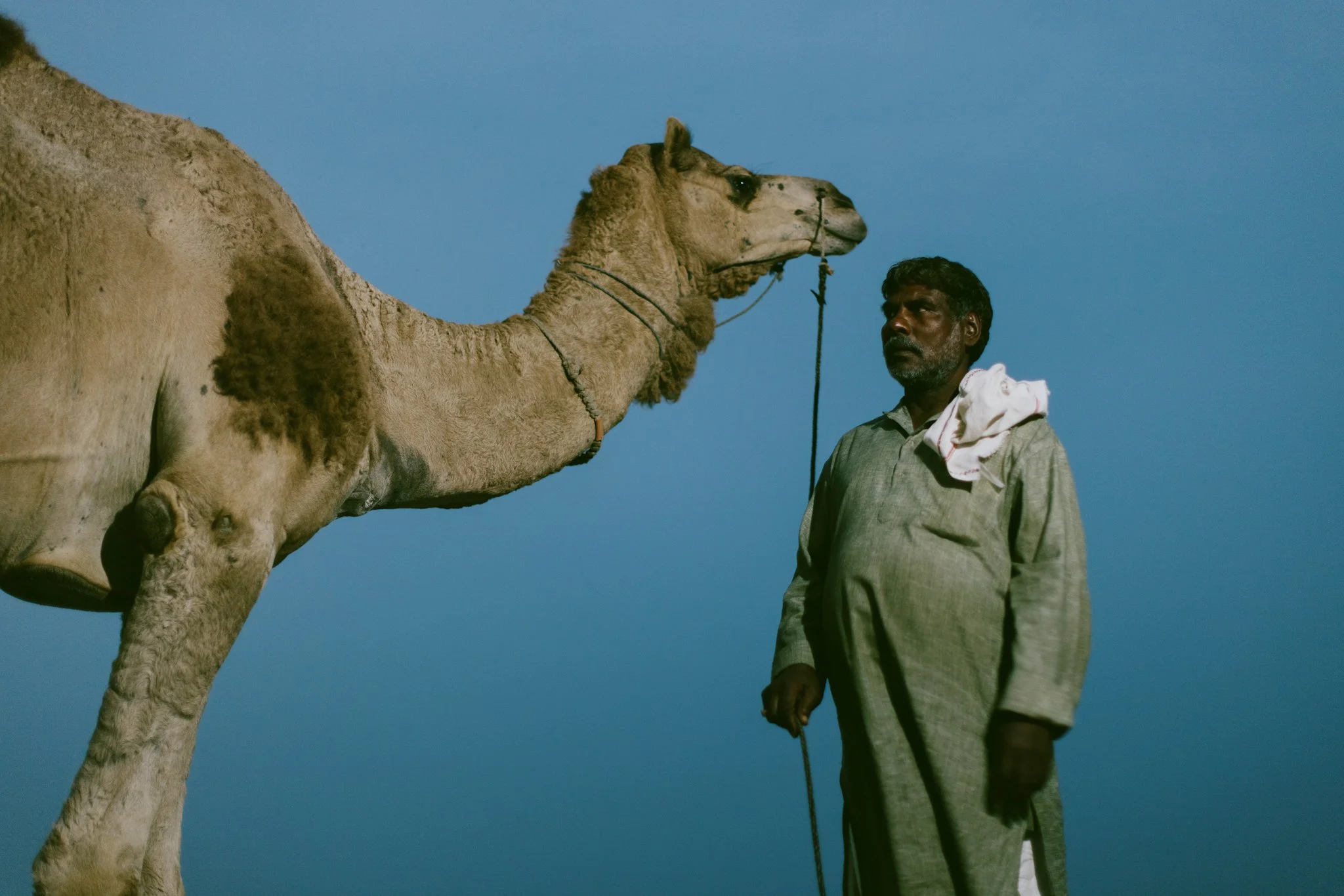 A man with dark skin, wearing a traditional long green garment, stands next to a camel against a clear blue sky. The man holds a rope connected to the camel, which has a piece of cloth draped over its back and is looking into the distance.