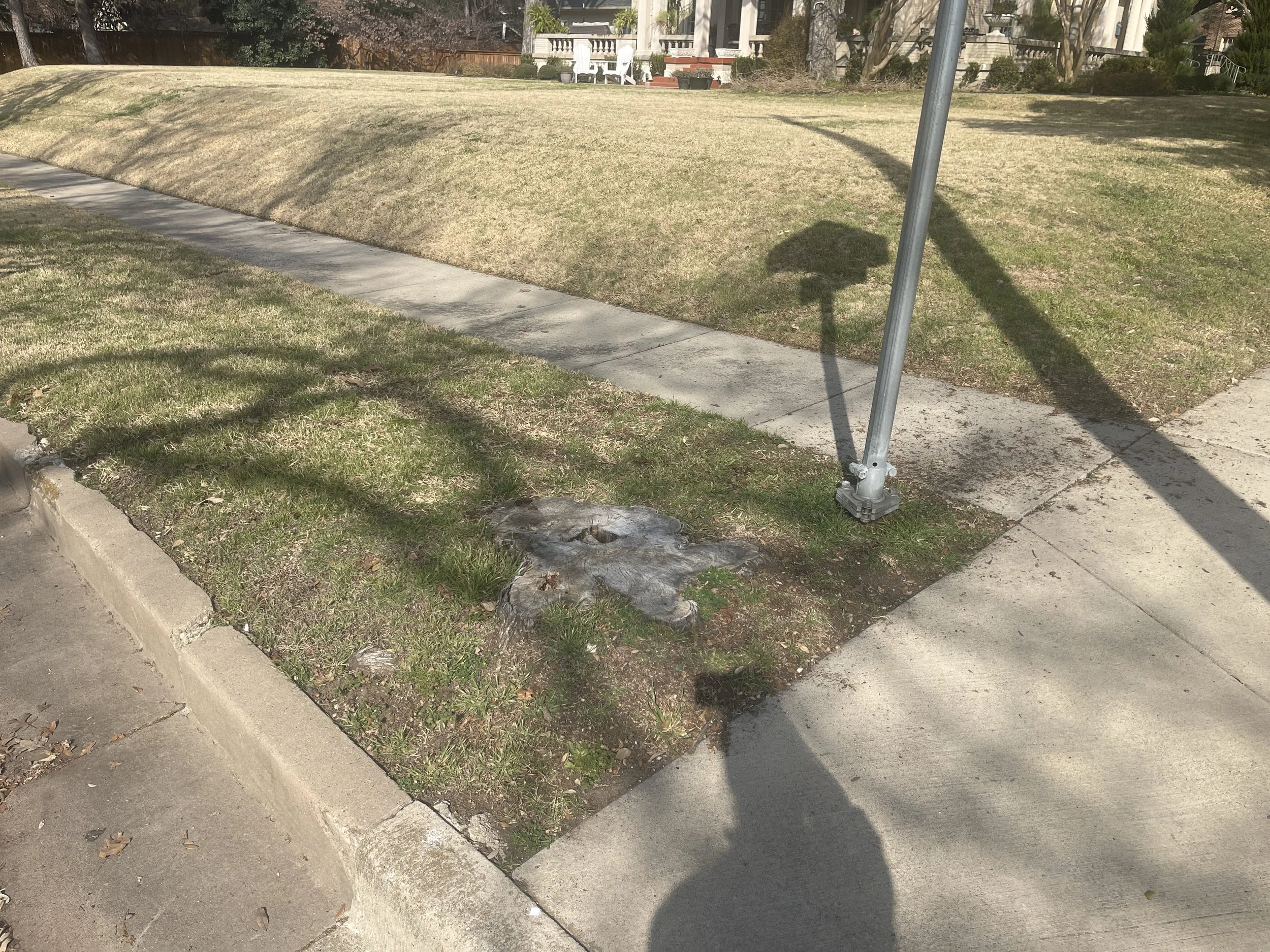 Cleared yard after stump grinding in Fort Worth, TX