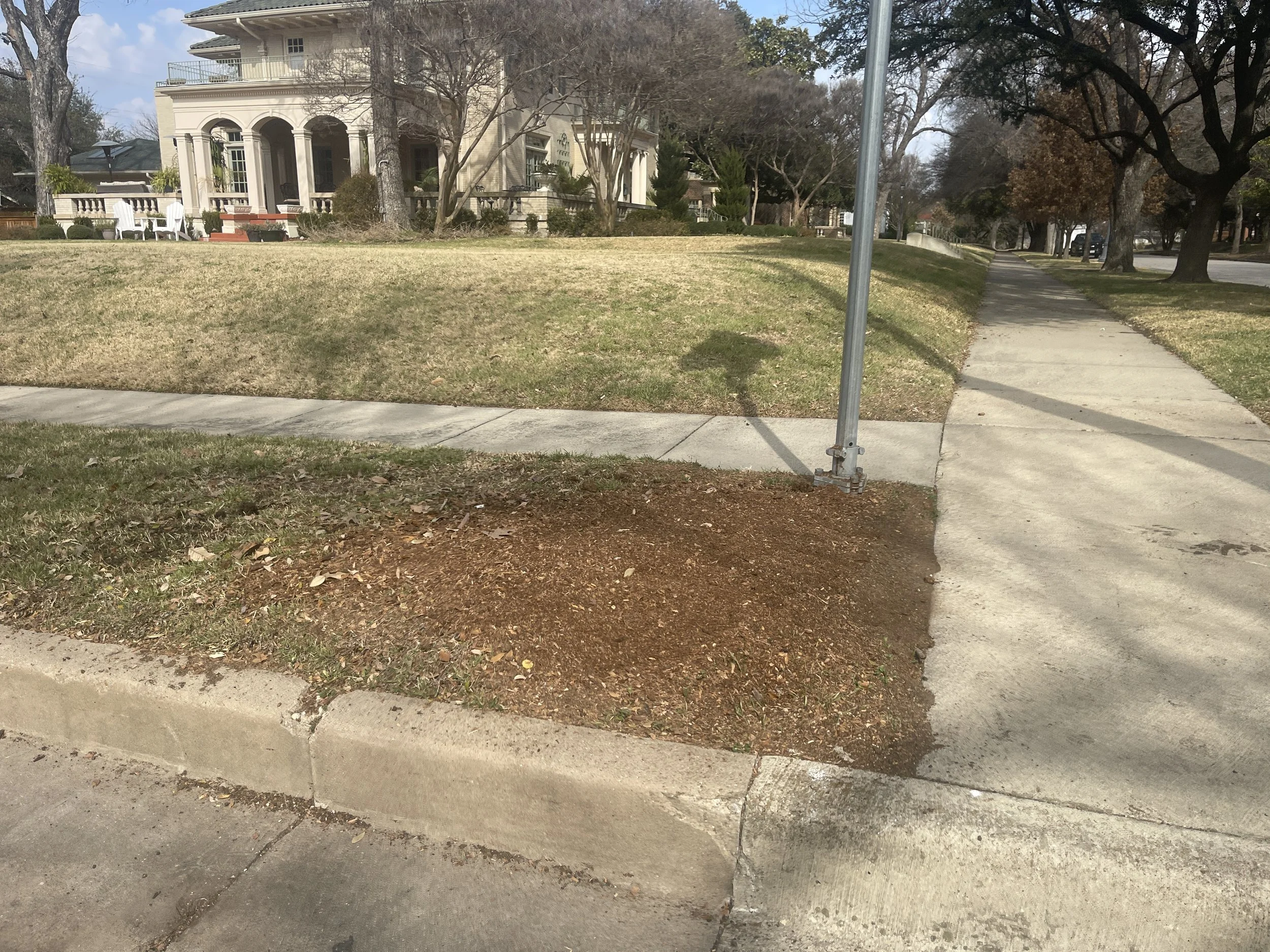 After stump grinding