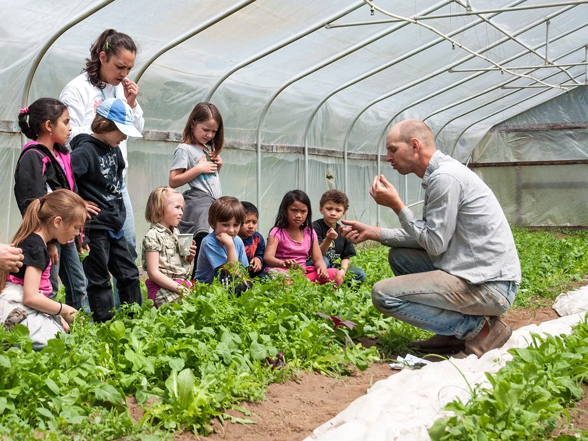Field Trips on the Farm
