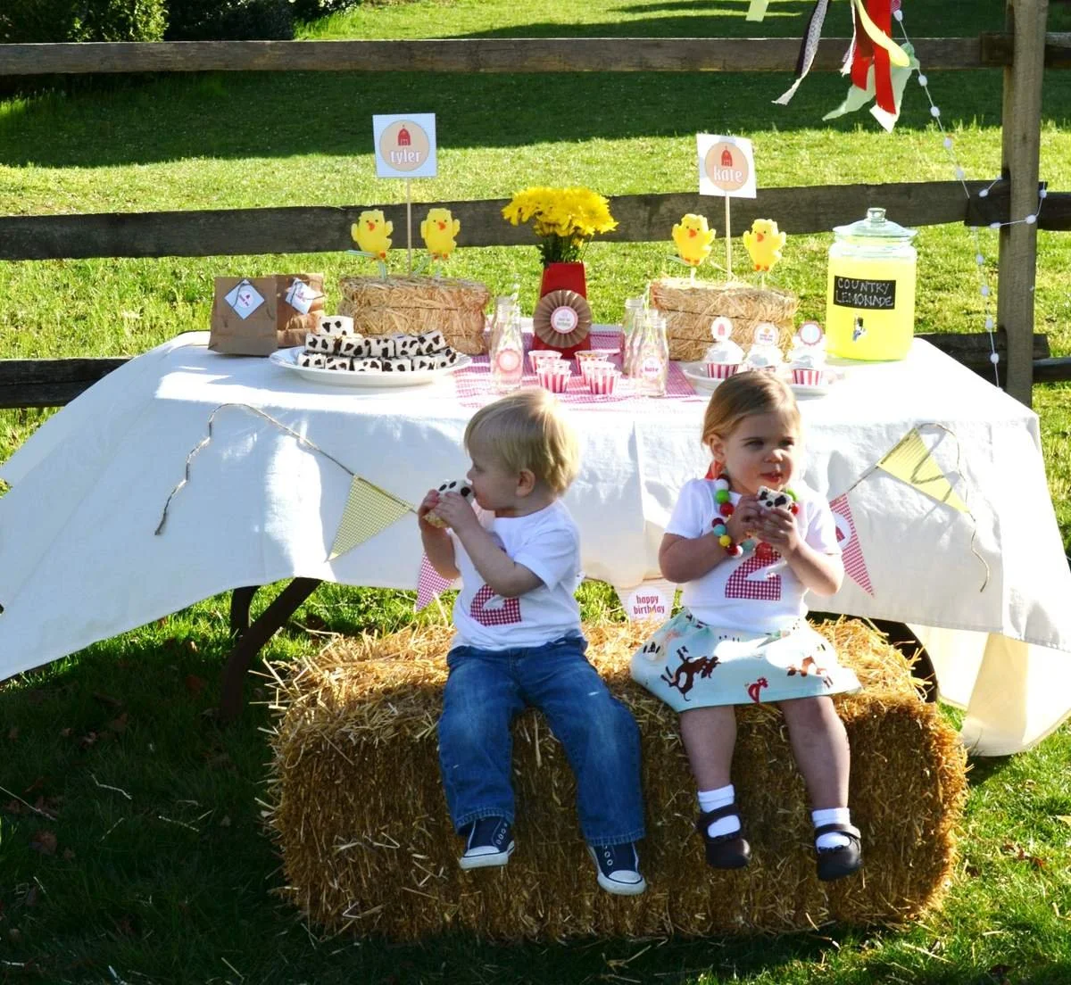 Farm Birthday Party