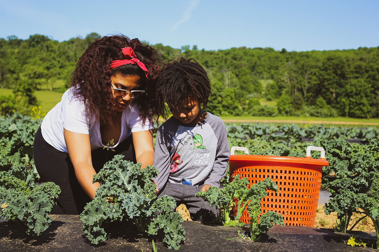 Field Trips on the Farm