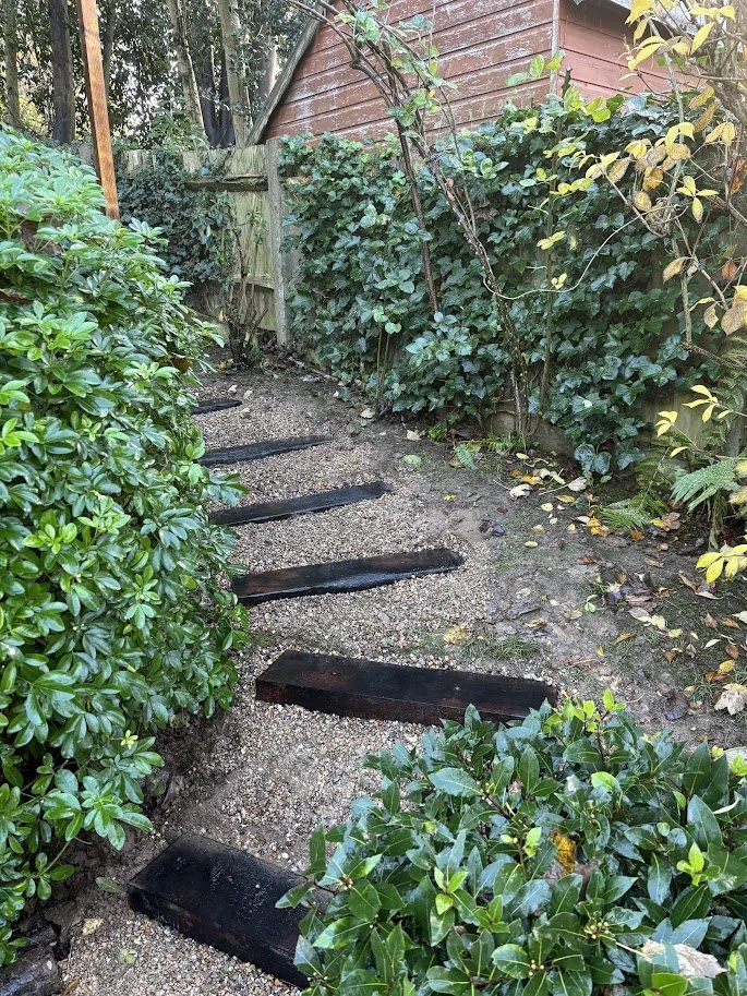 A garden pathway with black wooden steps surrounded by green bushes and ivy, with a wooden shed in the background.