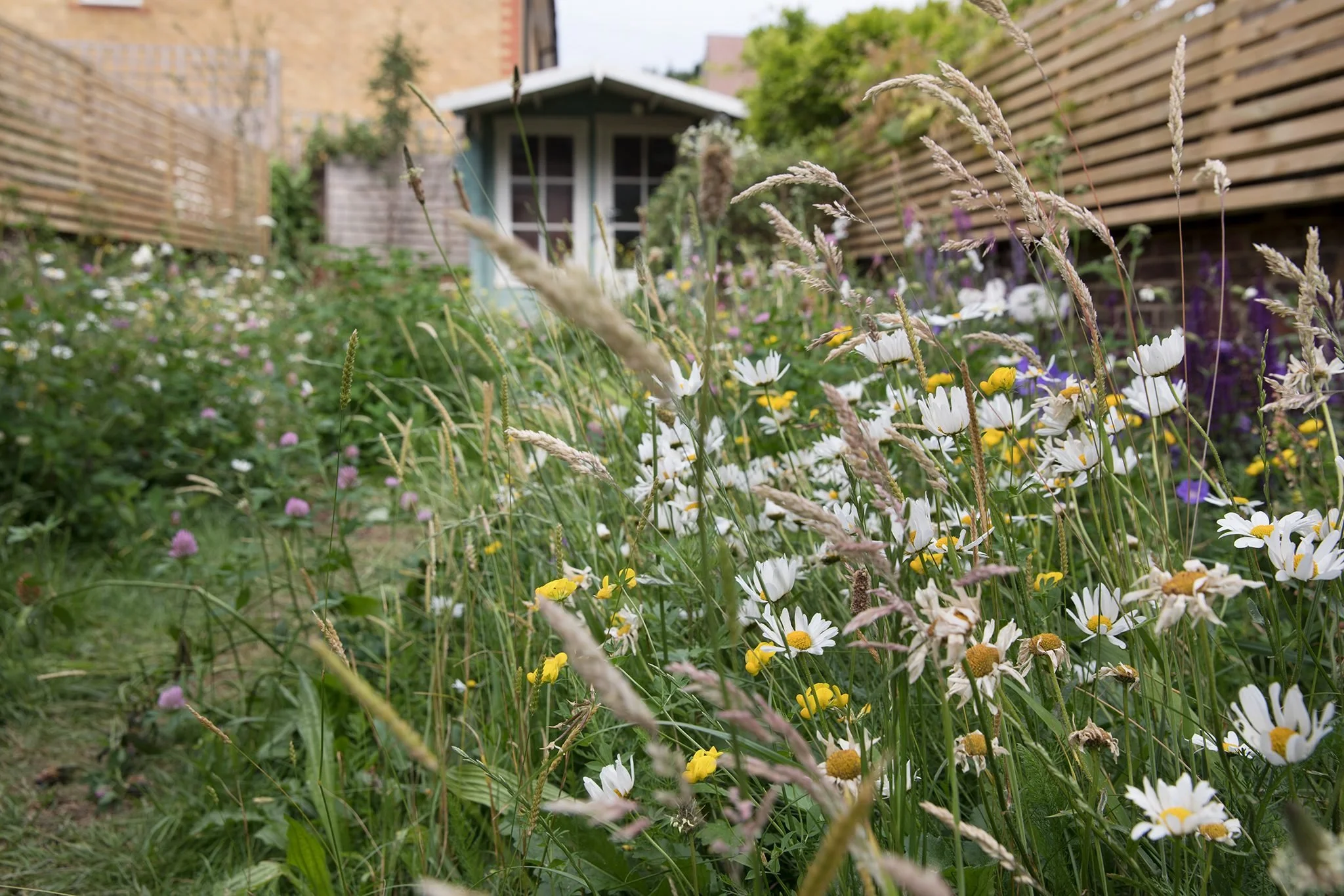 Nature Friendly Garden Features