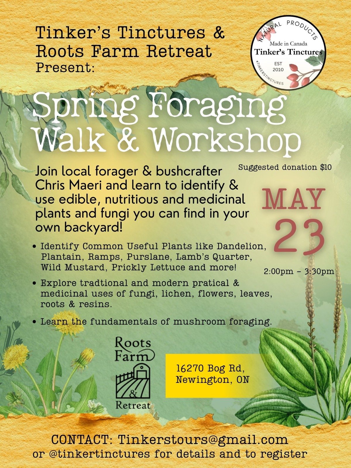 Spring Foraging Walk &amp; Workshop