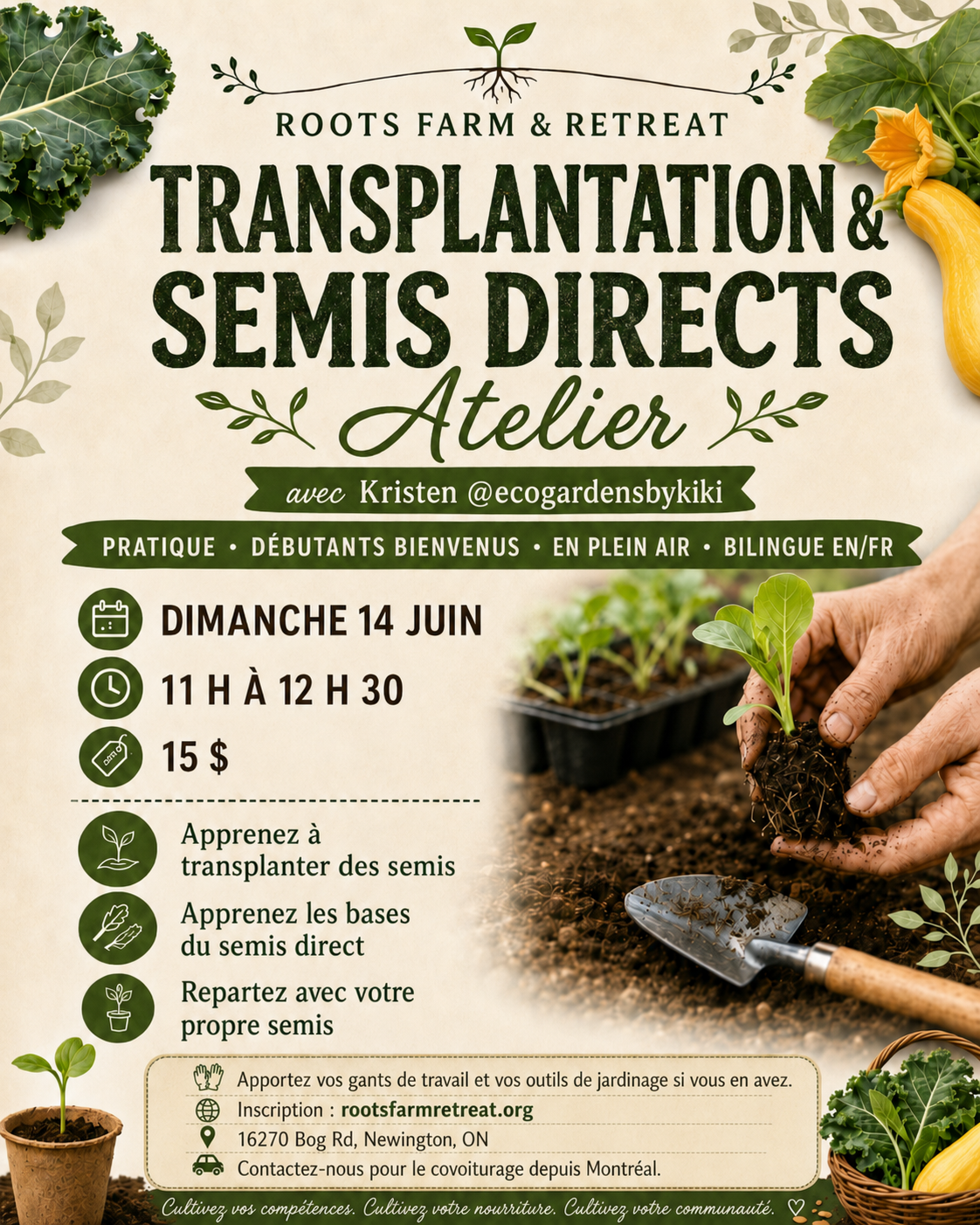 Transplantation et semis direct