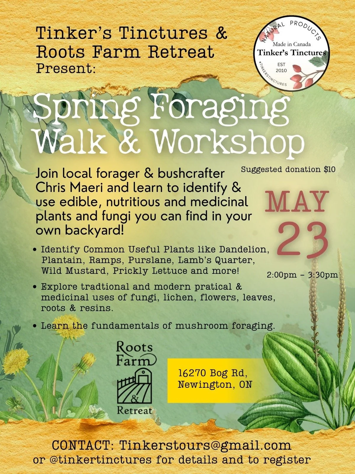 Spring Foraging Walk & Workshop