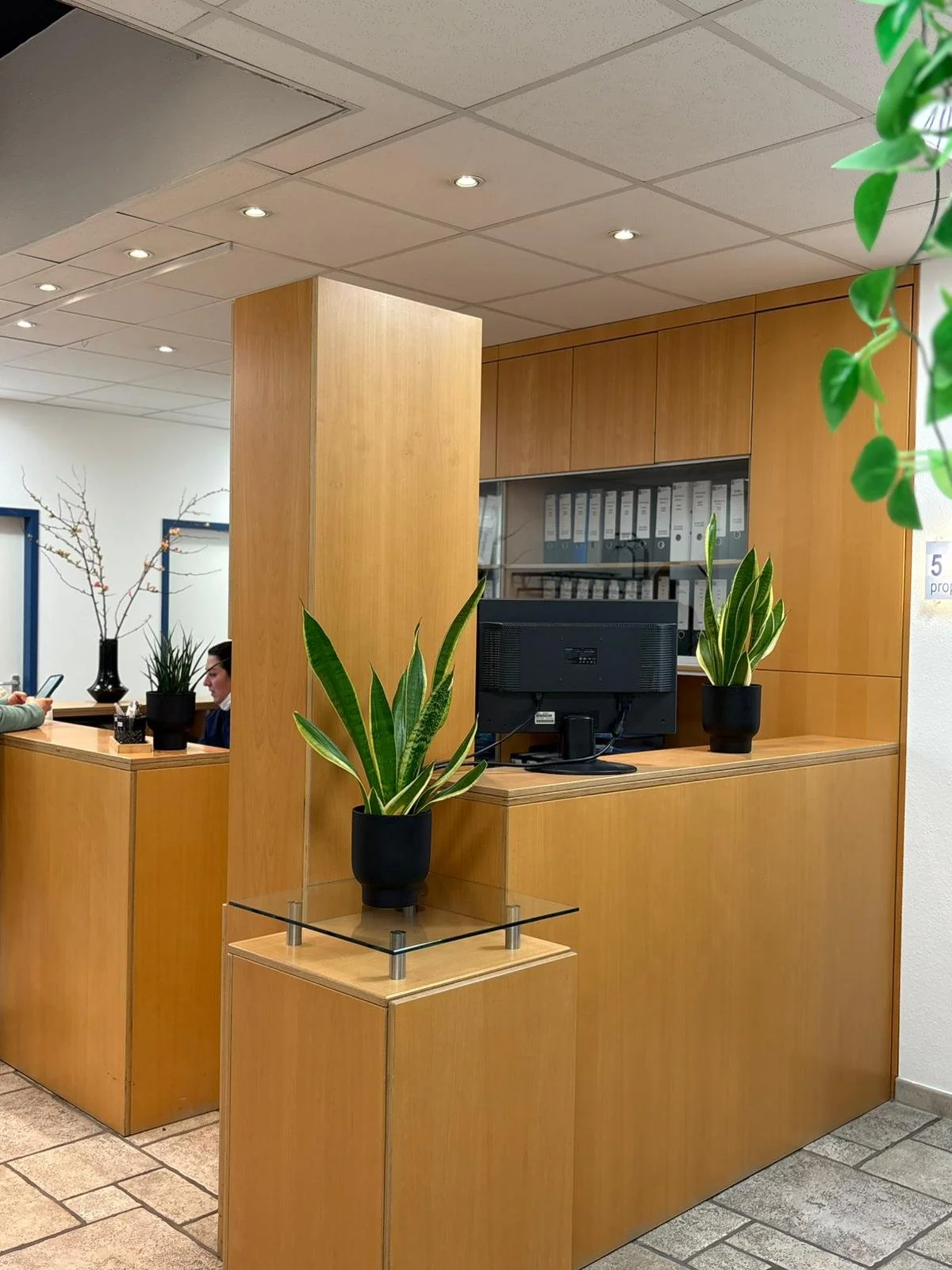 Ein Empfangstresen mit einem Computer, vier grüne Pflanzen in schwarzen Töpfen, hellbraune Holzvertäfelung und Personen im Hintergrund.