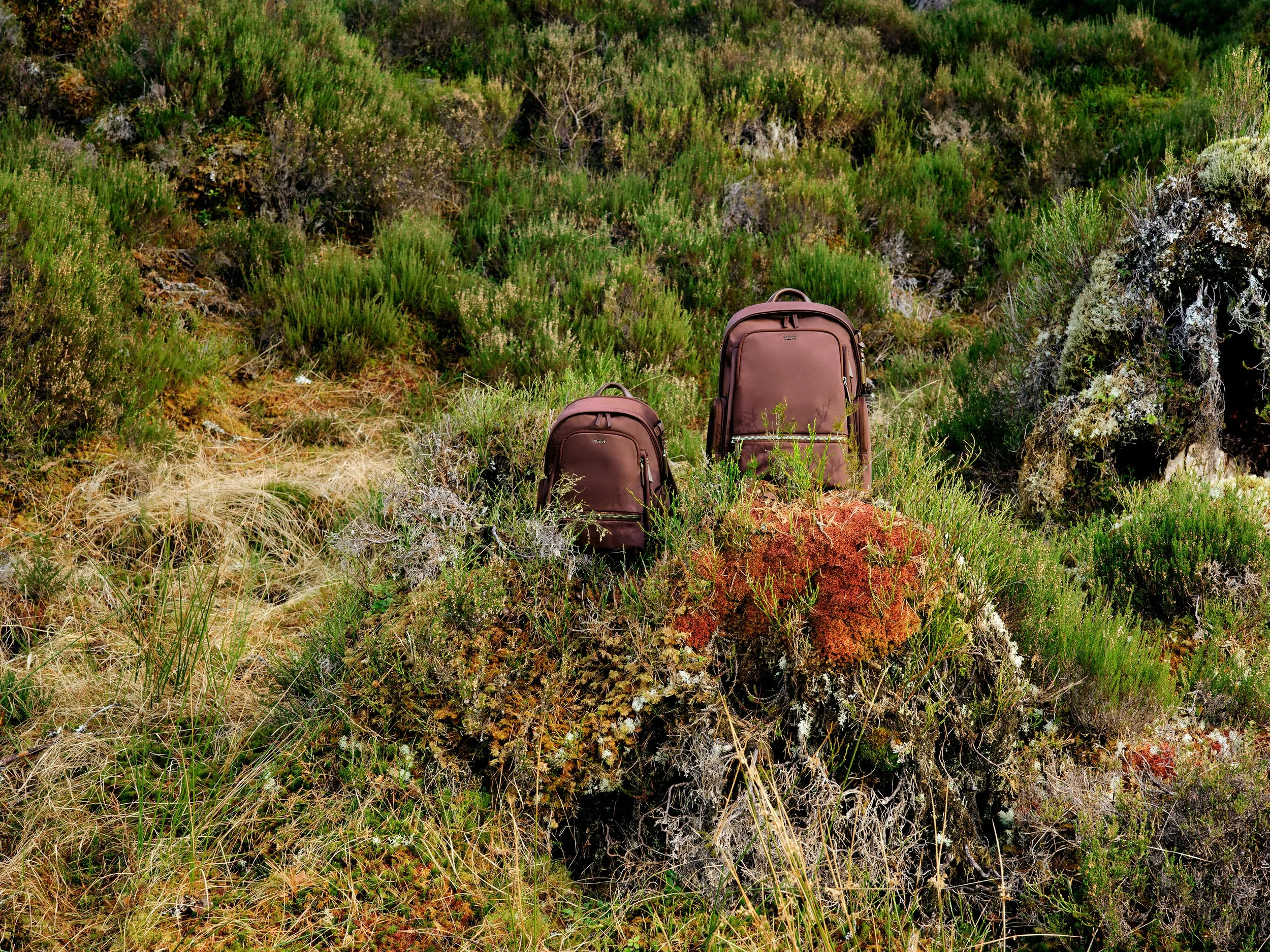 8_TUMI_FW26_ VOYAGEUR_CELINA_BACKPACK-016_v5.jpg