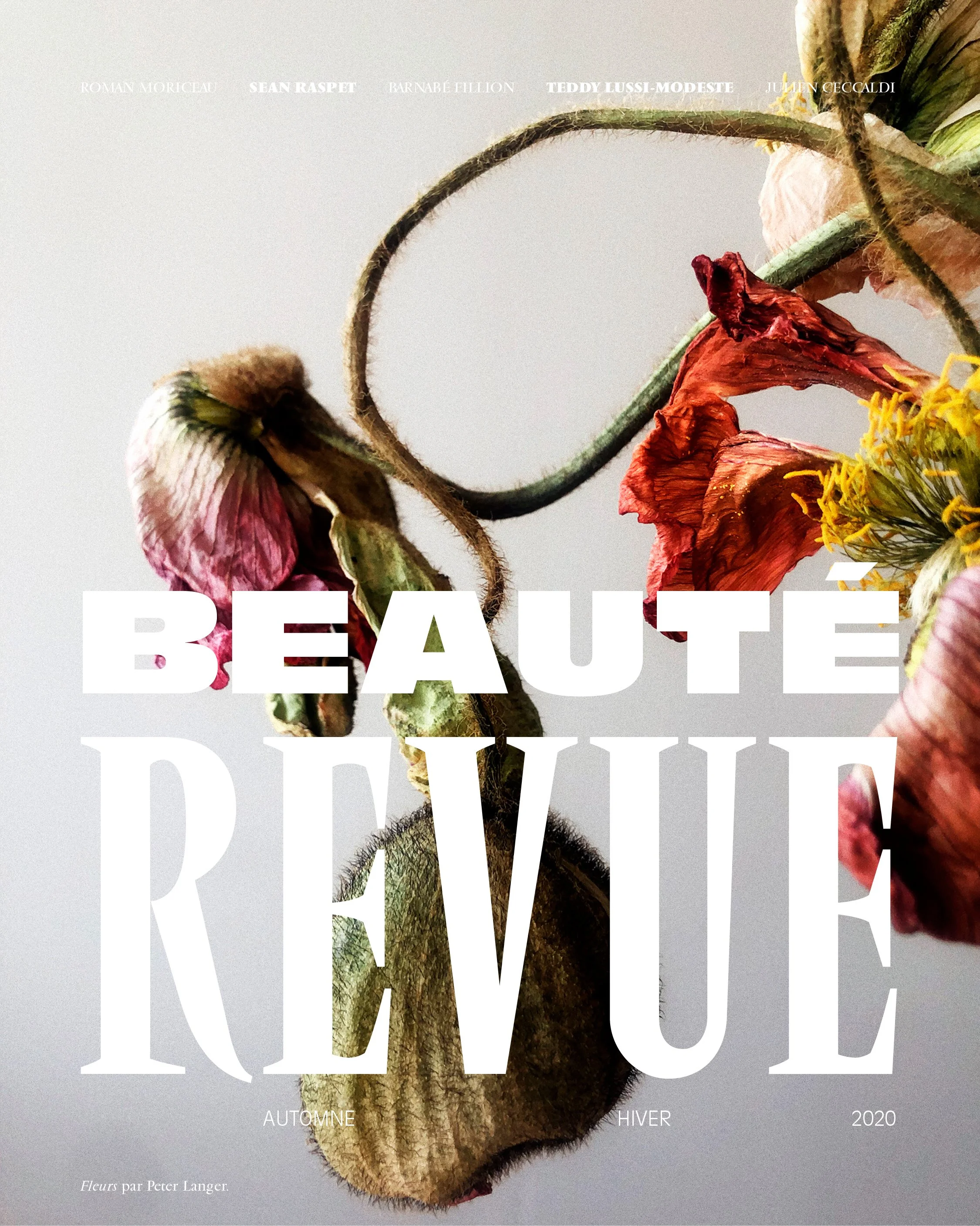 beute-revue-10-cover-2.jpg