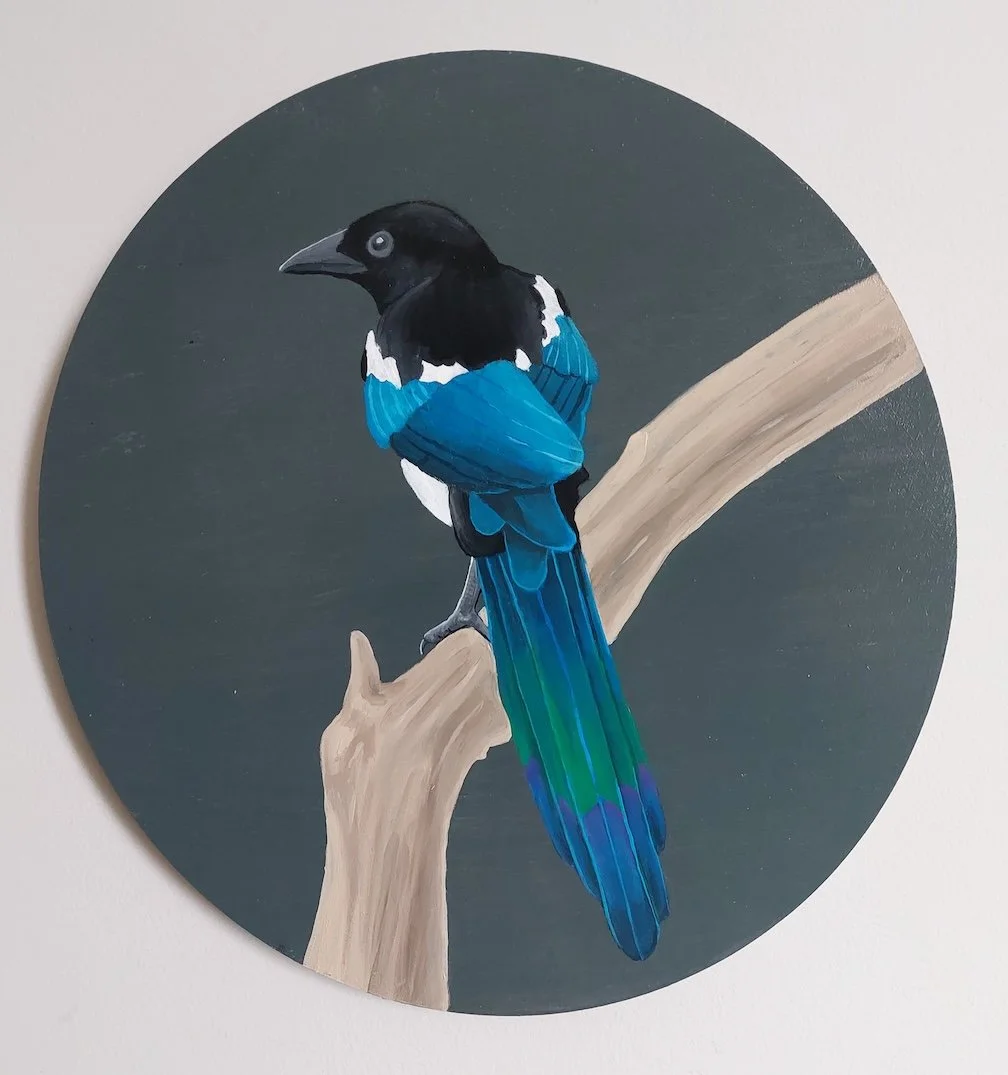 Magpie 2.jpg