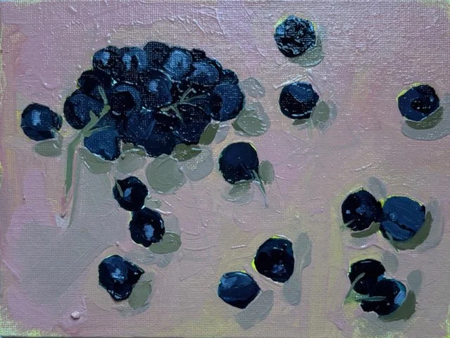 Unwanted Concord Grapes