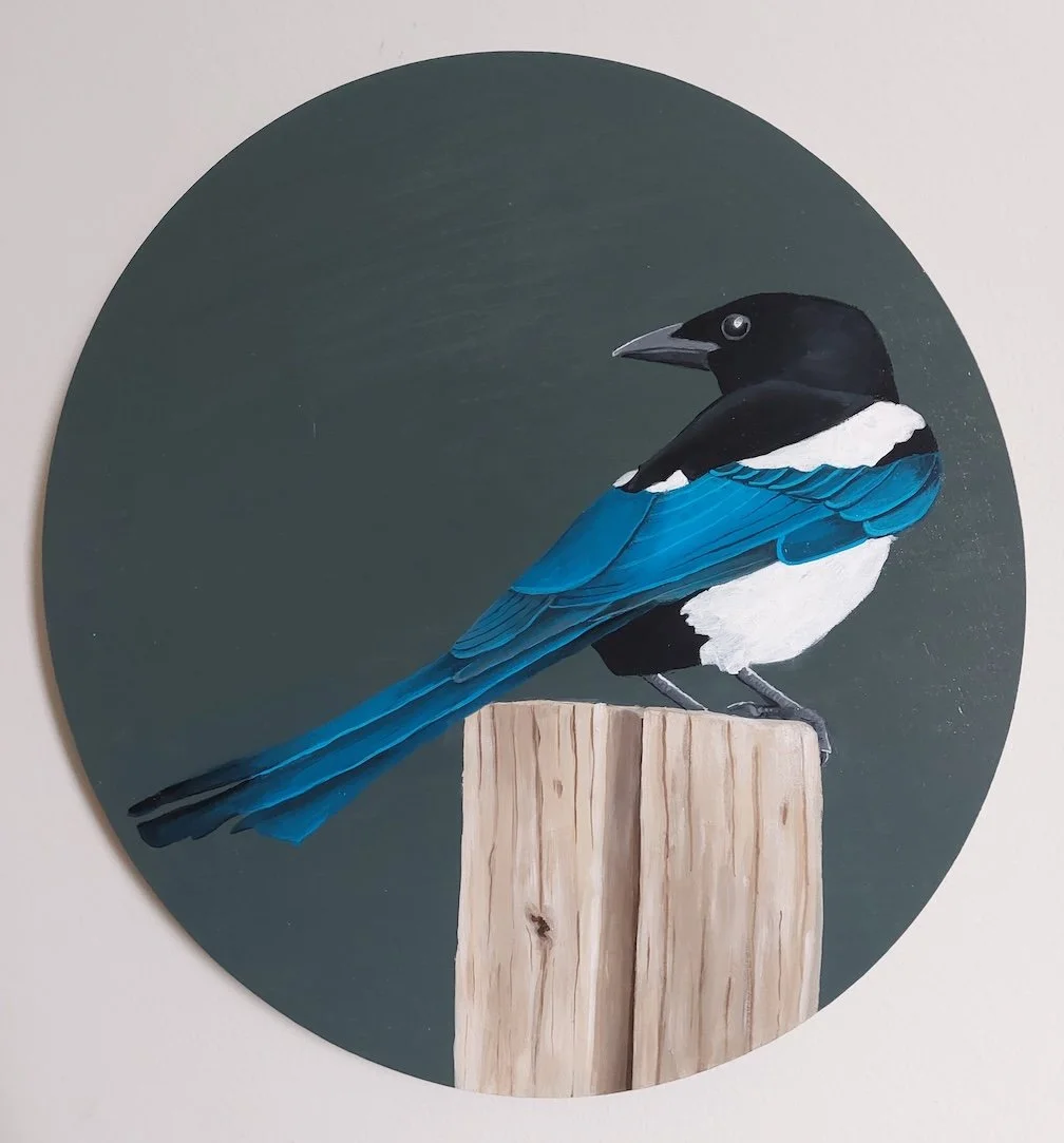 Magpie 1