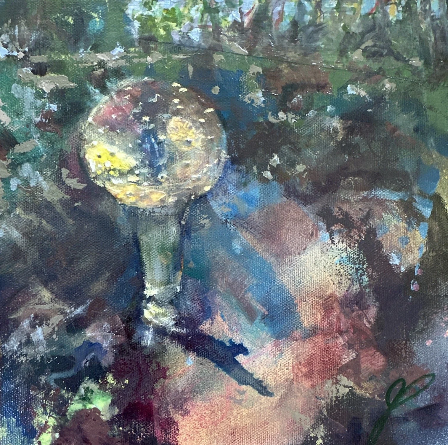Mushroom Glory