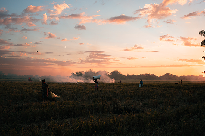 Farmer's Field