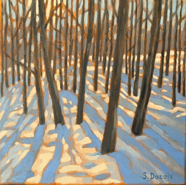 Aspens in the Snow