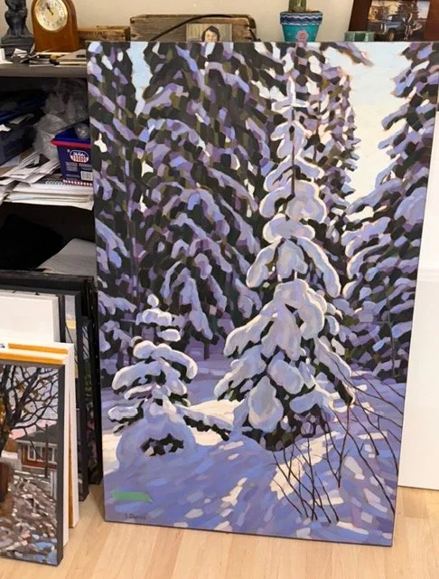 Snow Covered Spruce