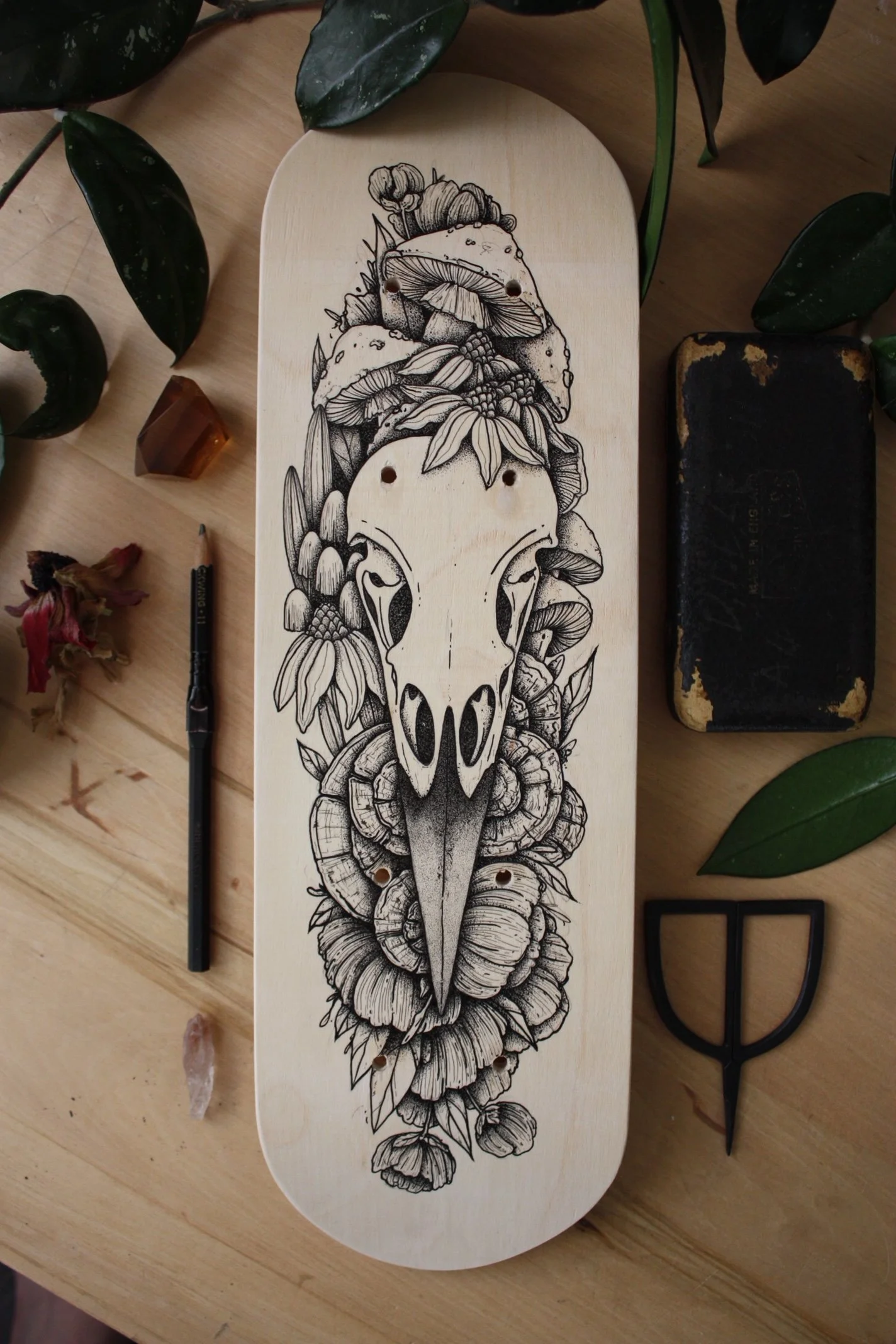 Wild Remains - Raven