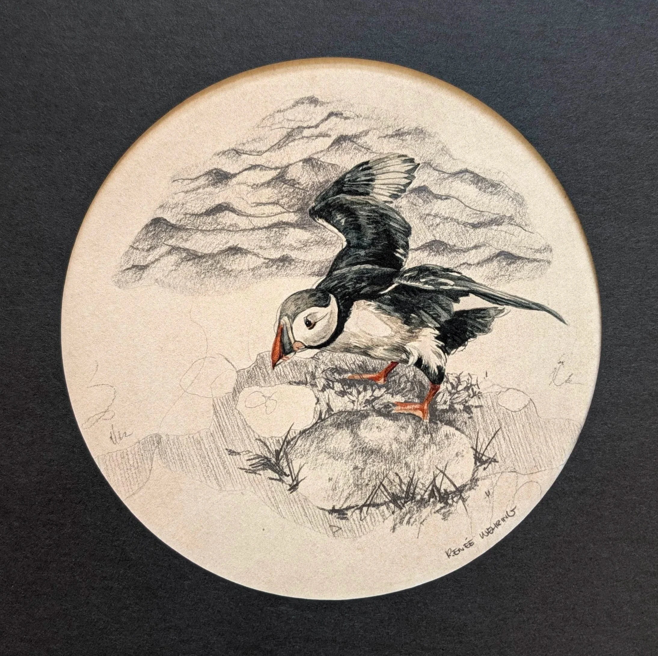 WehringRenee-PuffinStudy%231-6x6tondo-Watercolour%2BGraphitePaper-%24300.jpg