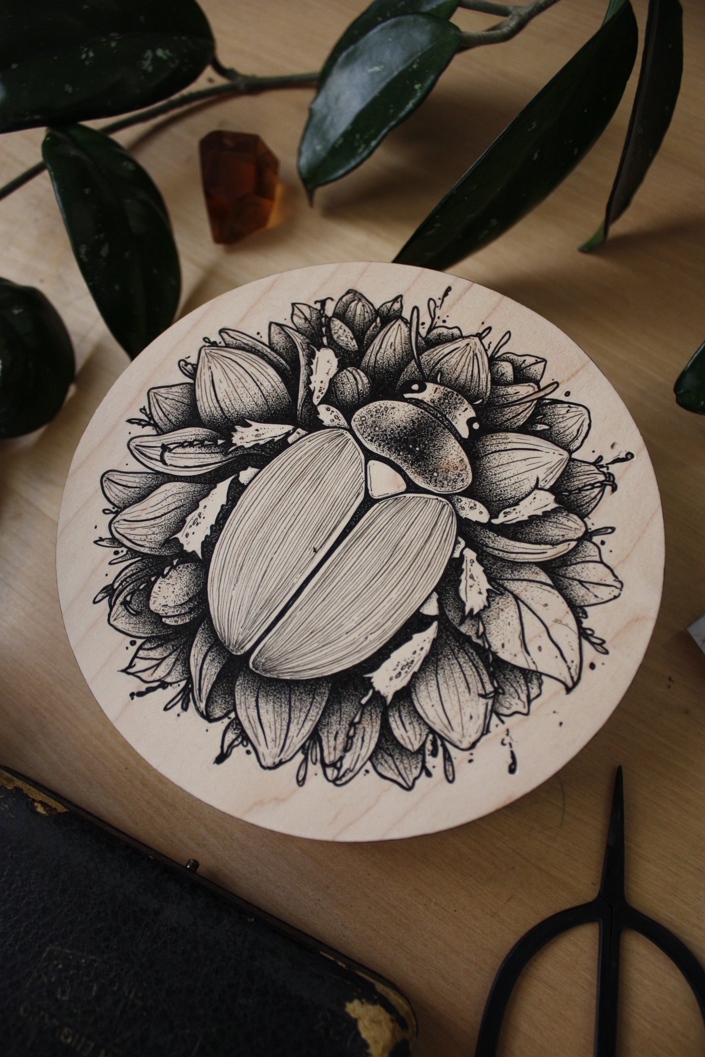 Magnolia