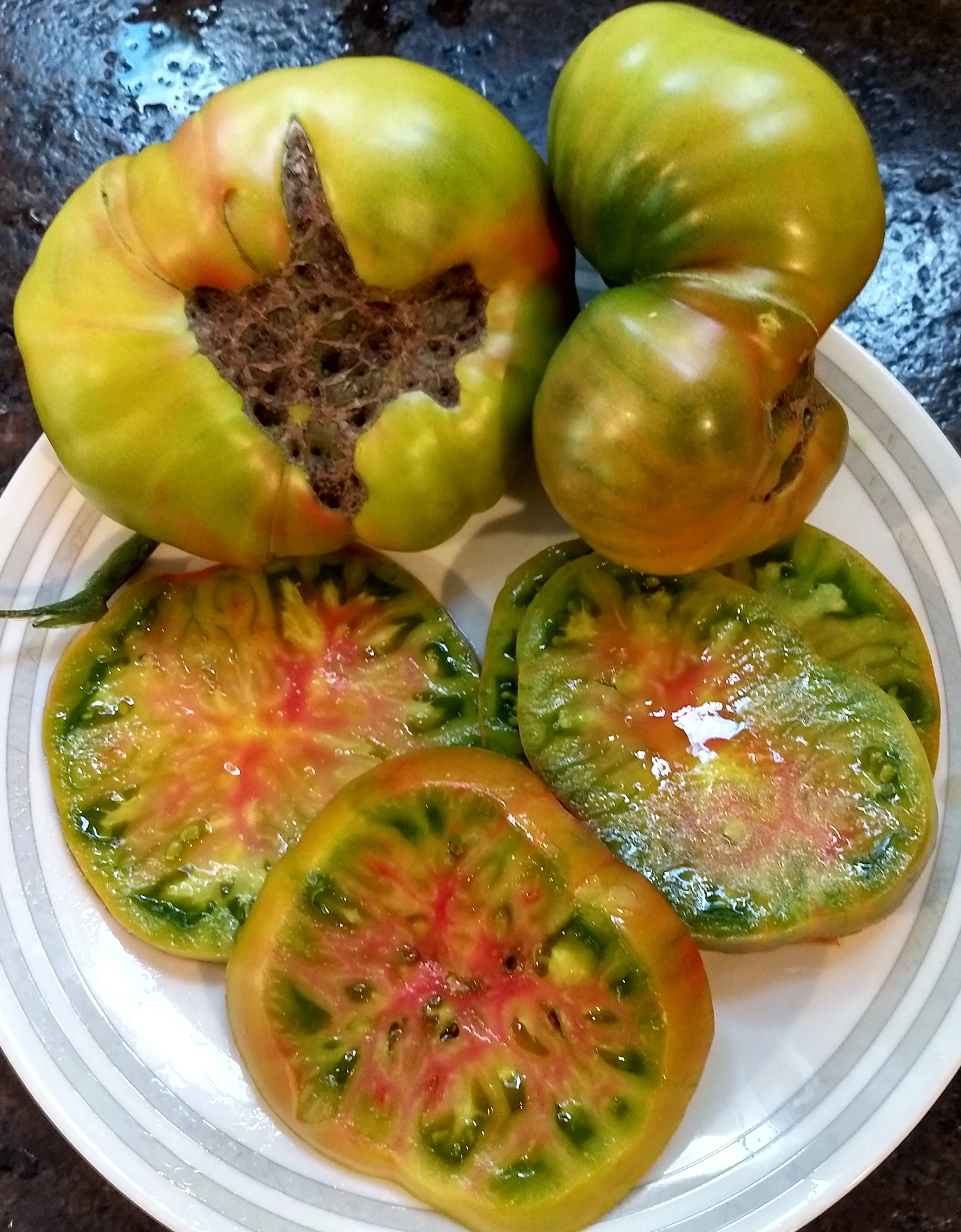 Tomato seedling, beefsteak - Black Pineapple