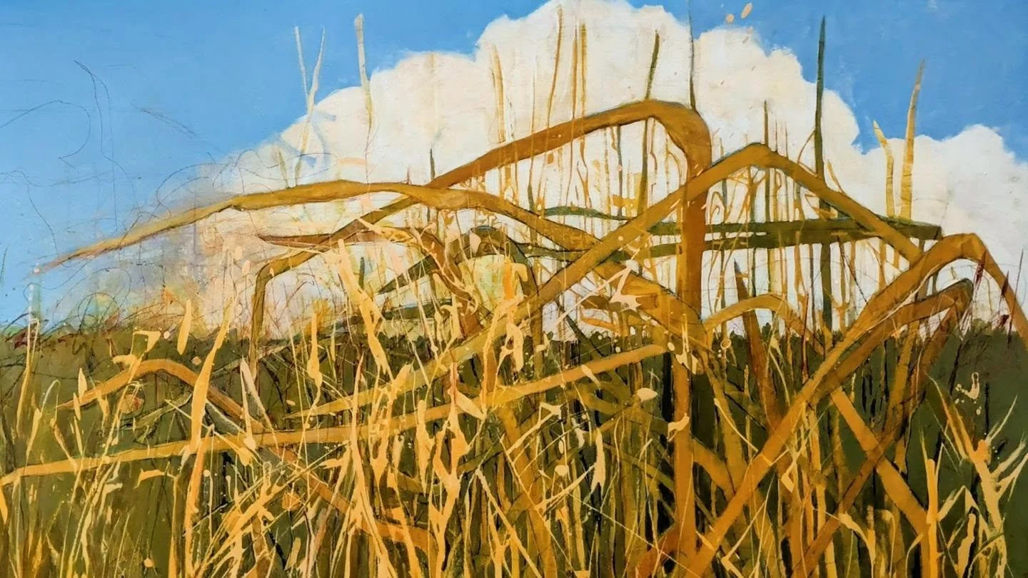 Memories from home. Crazy how in the dead of winter, images of harvest appear.