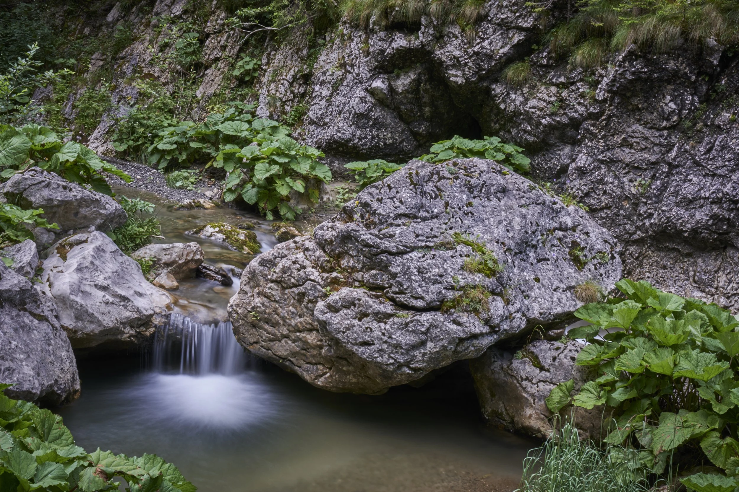 DSCF4633.jpg