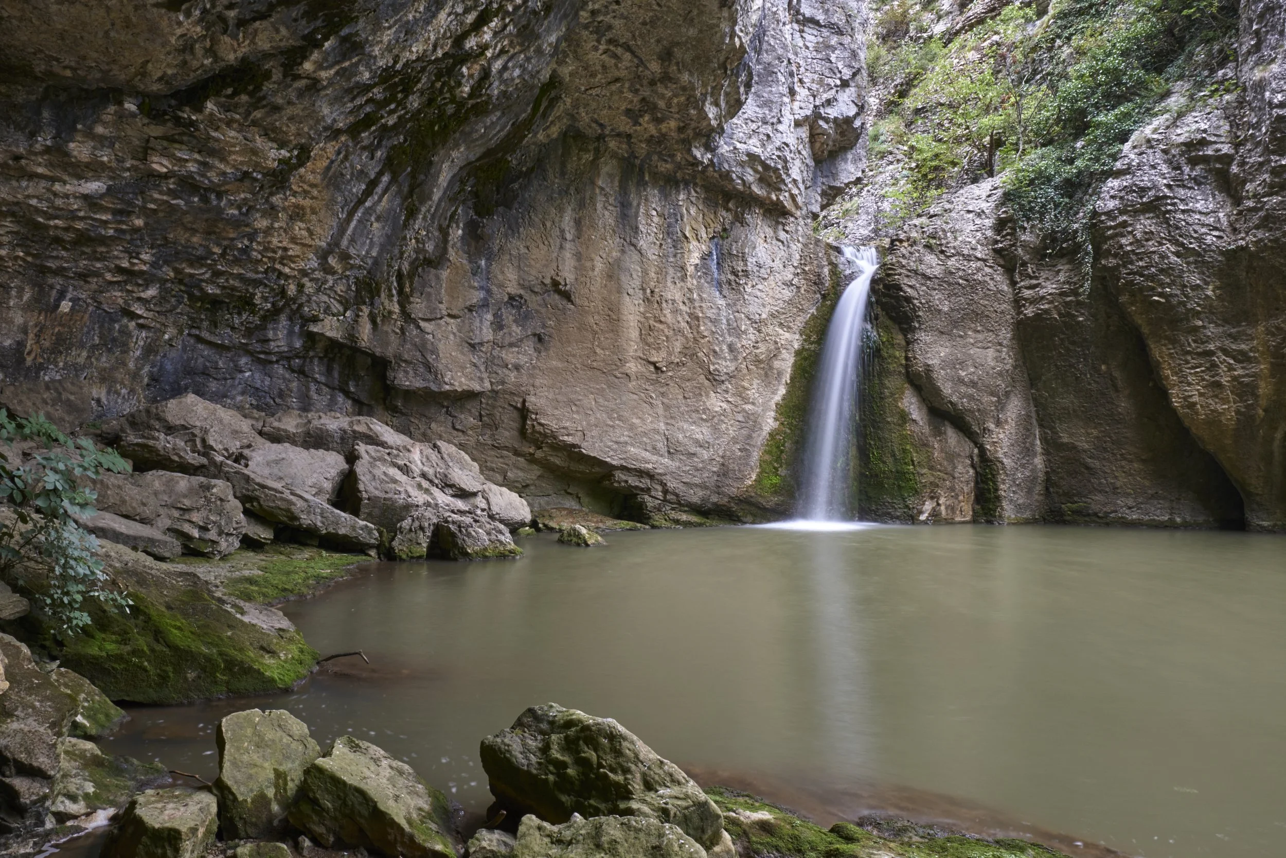DSCF4708.jpg