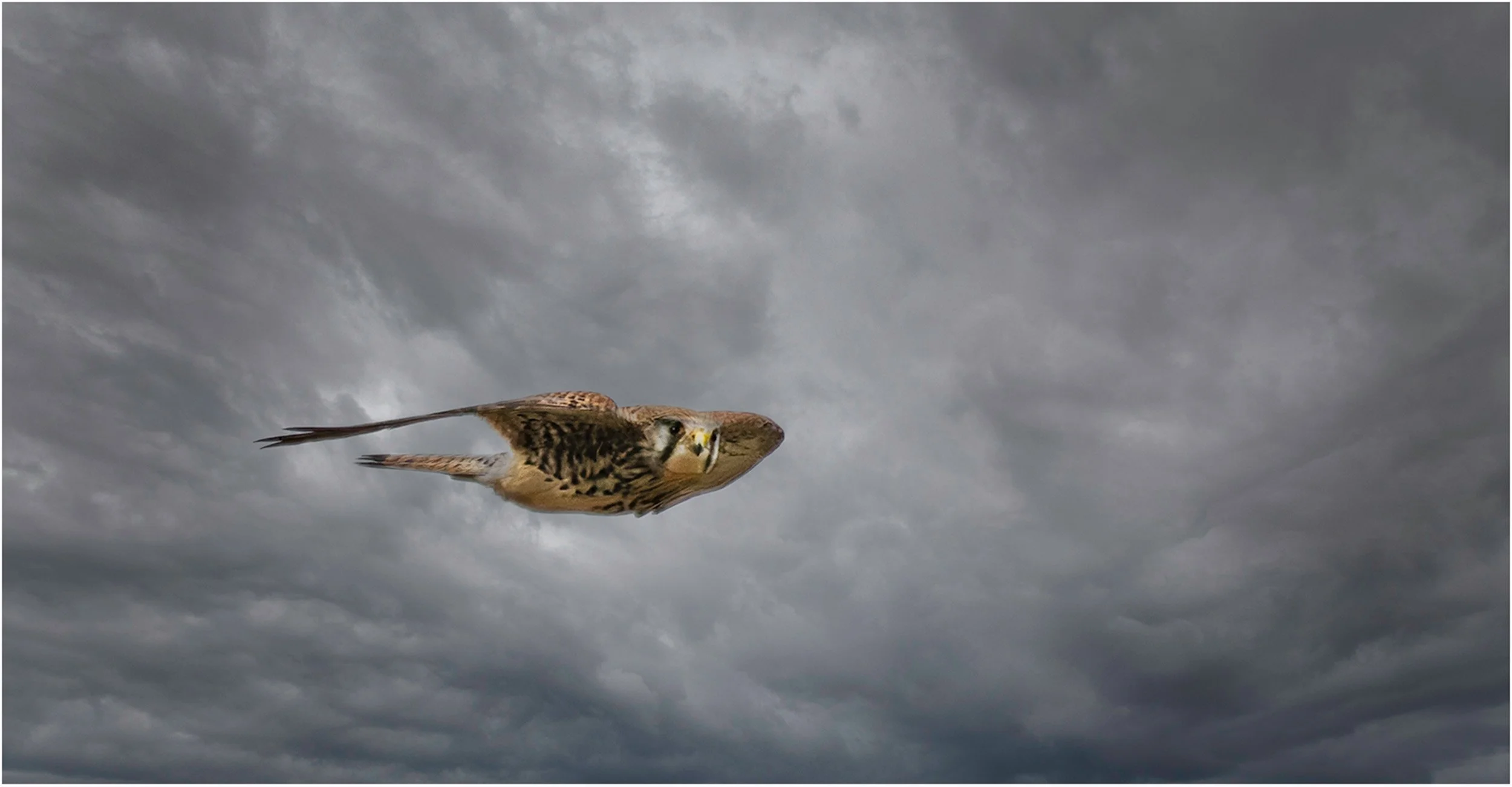 Watching Beneath the Storm