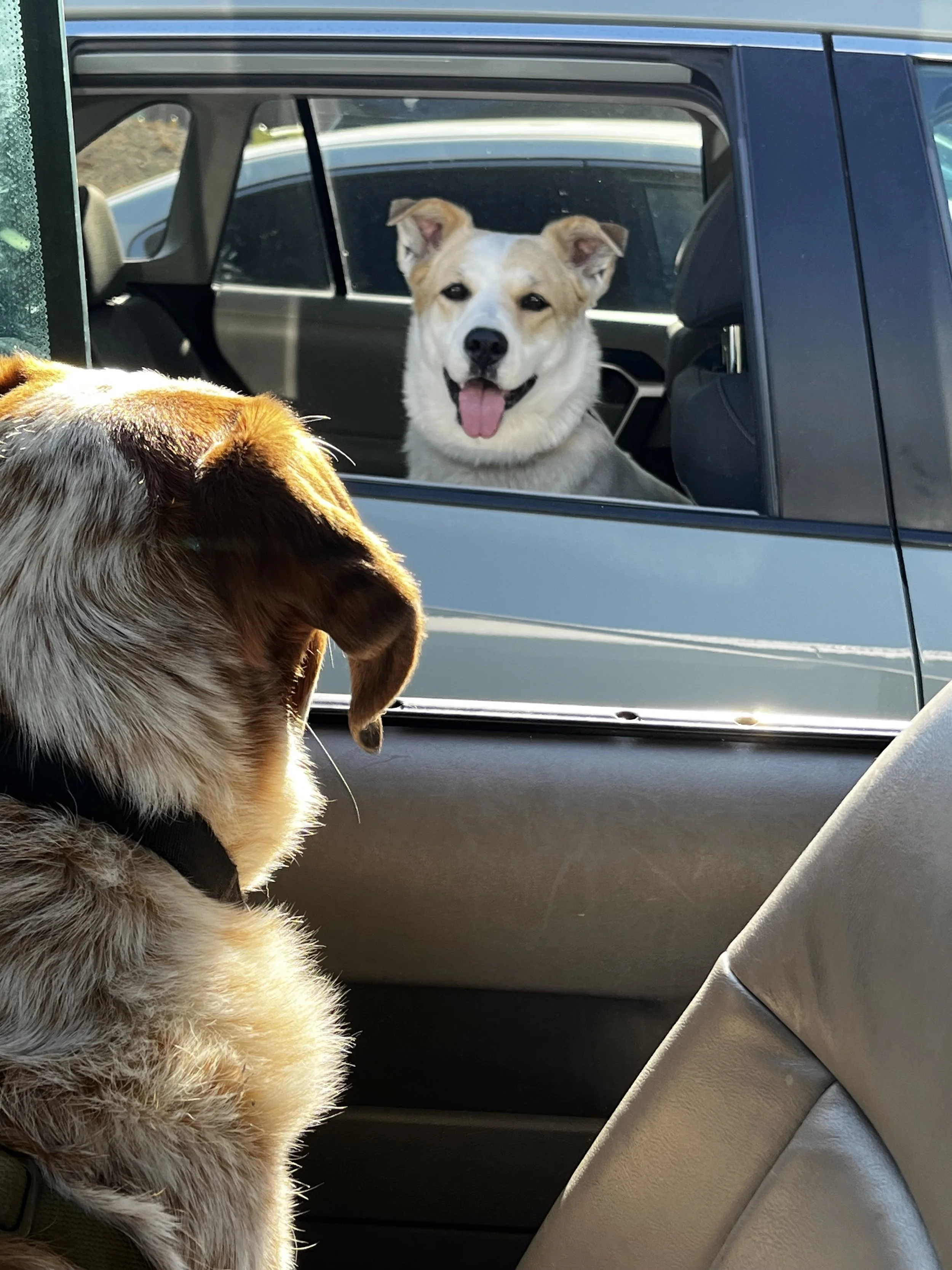 Individual Coaching Session