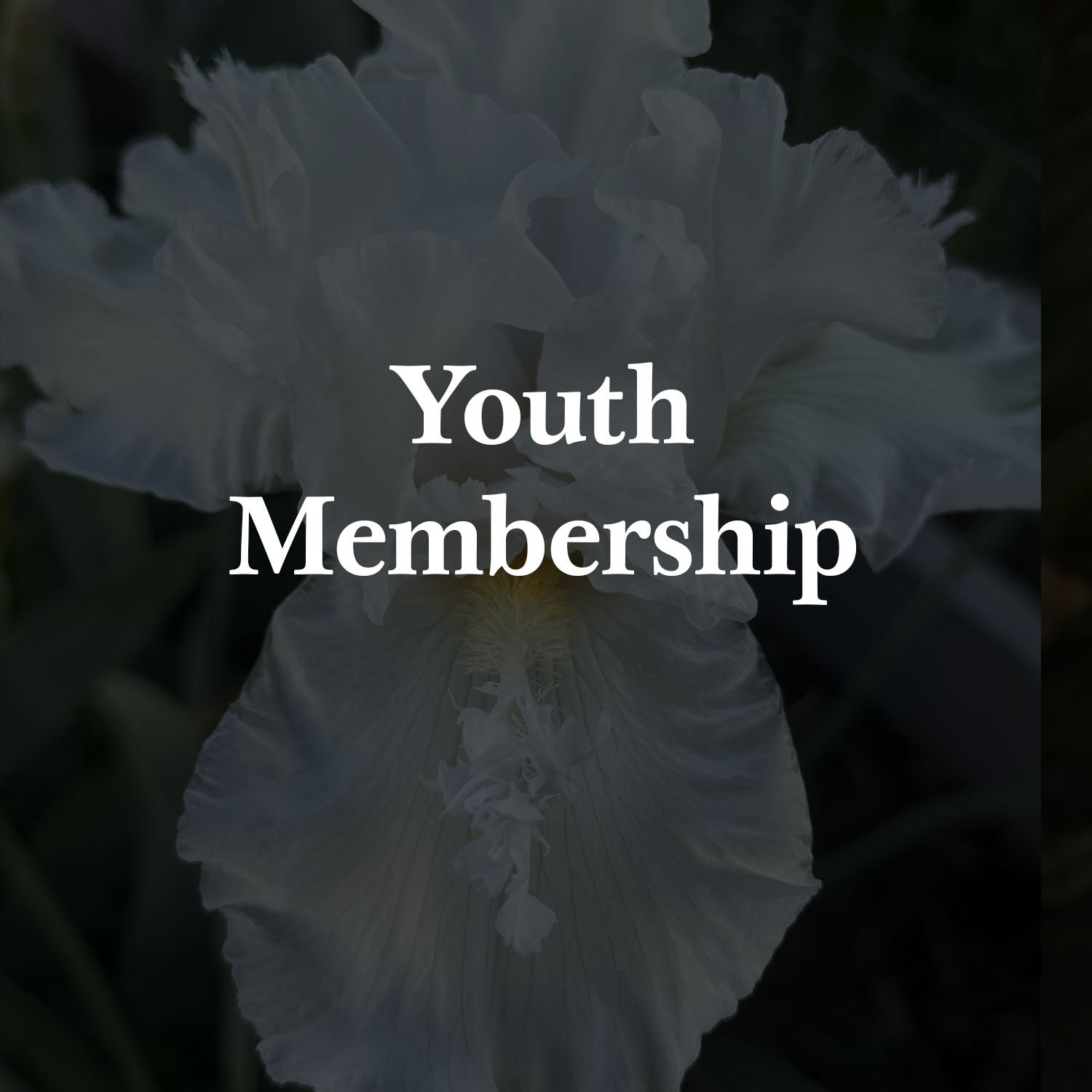 Youth Membership