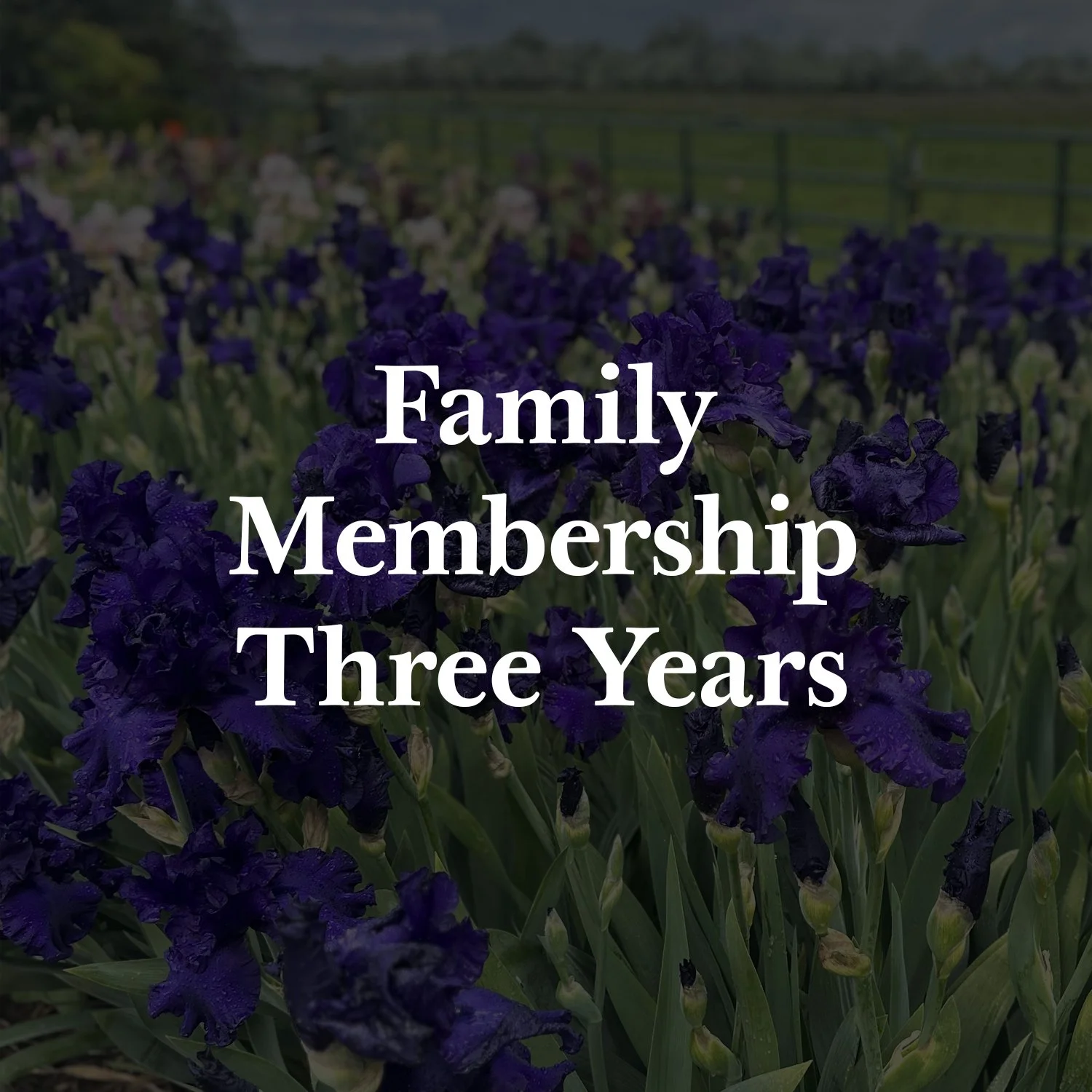 F 3 Y membership.jpg