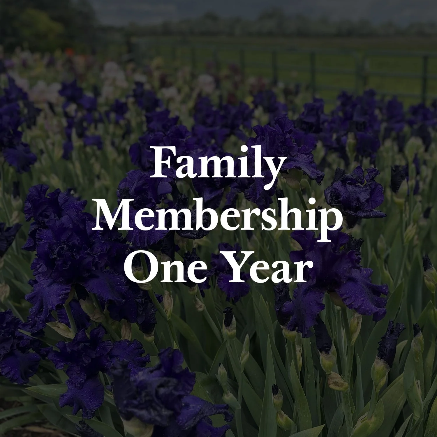 F 1 Y membership.jpg