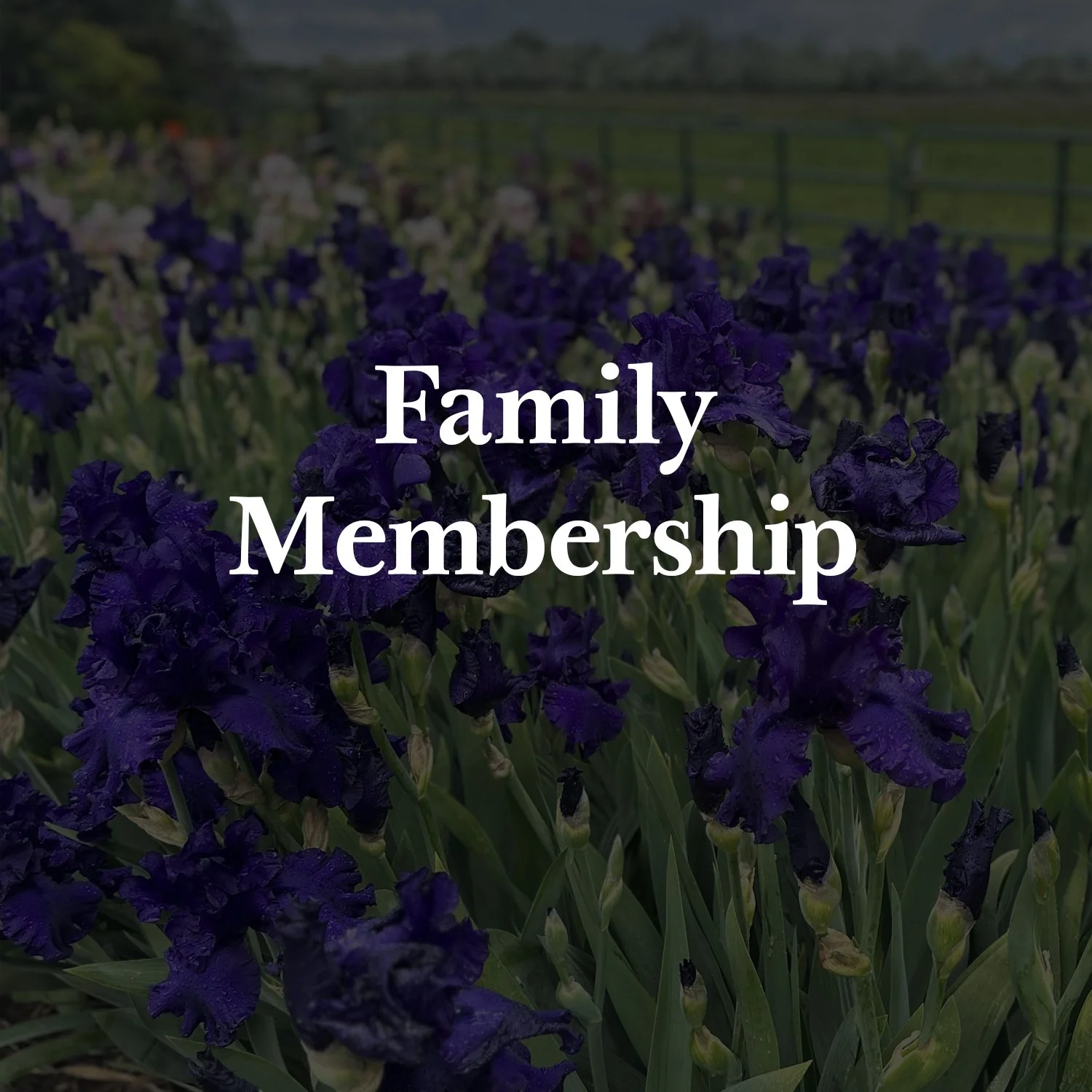 Family Membership