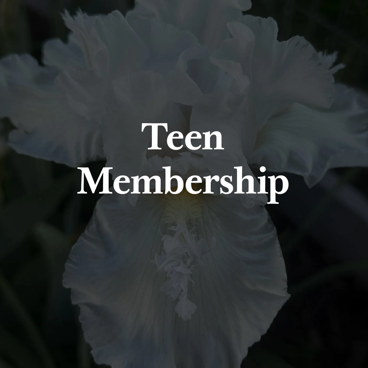 Teen Membership