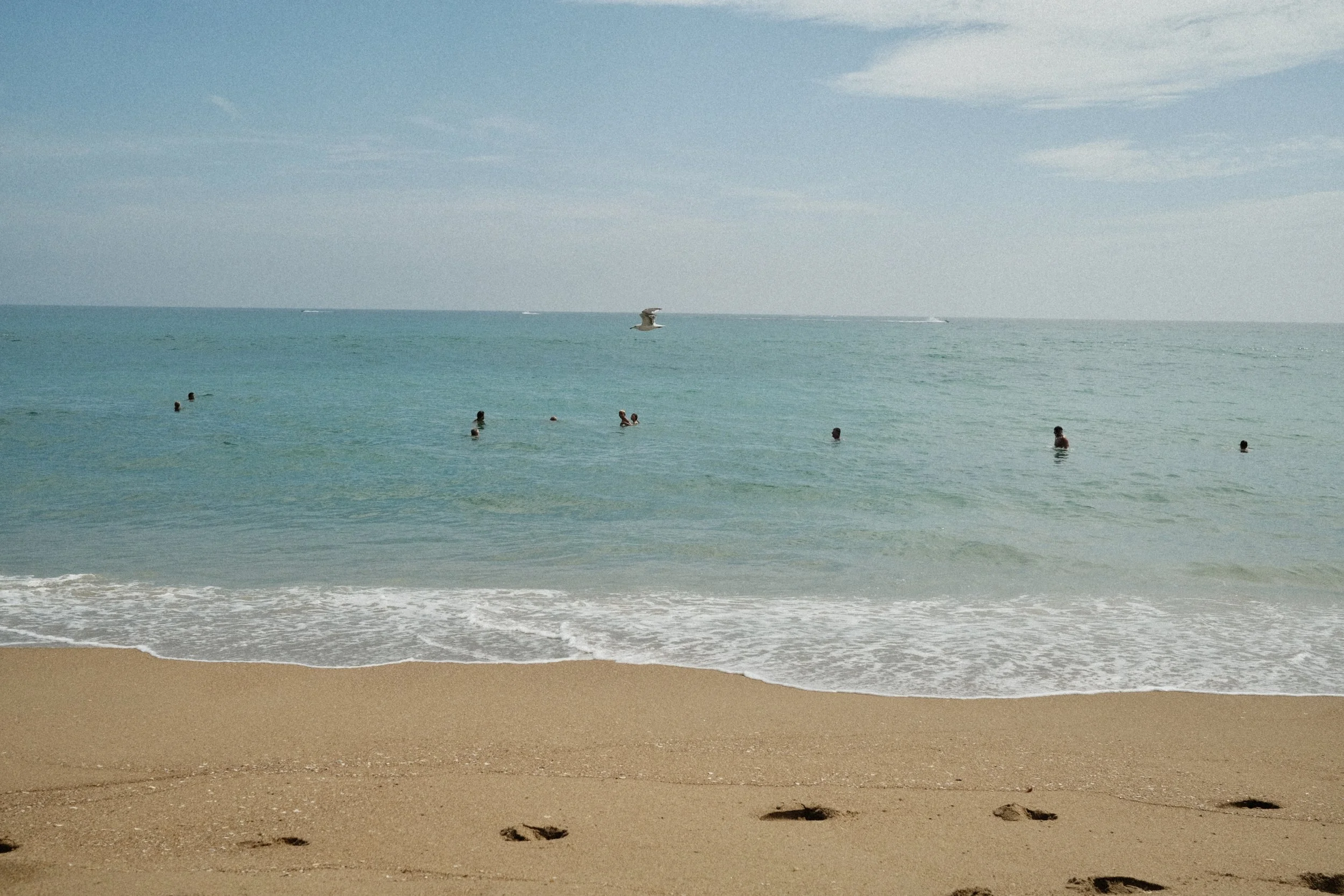 DSCF0841.jpg