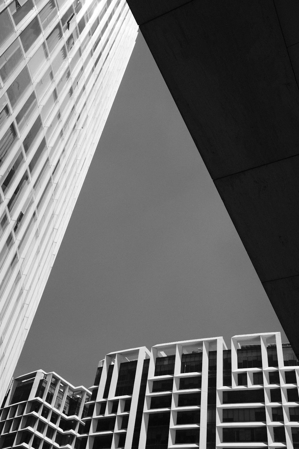 DSCF6229.jpg