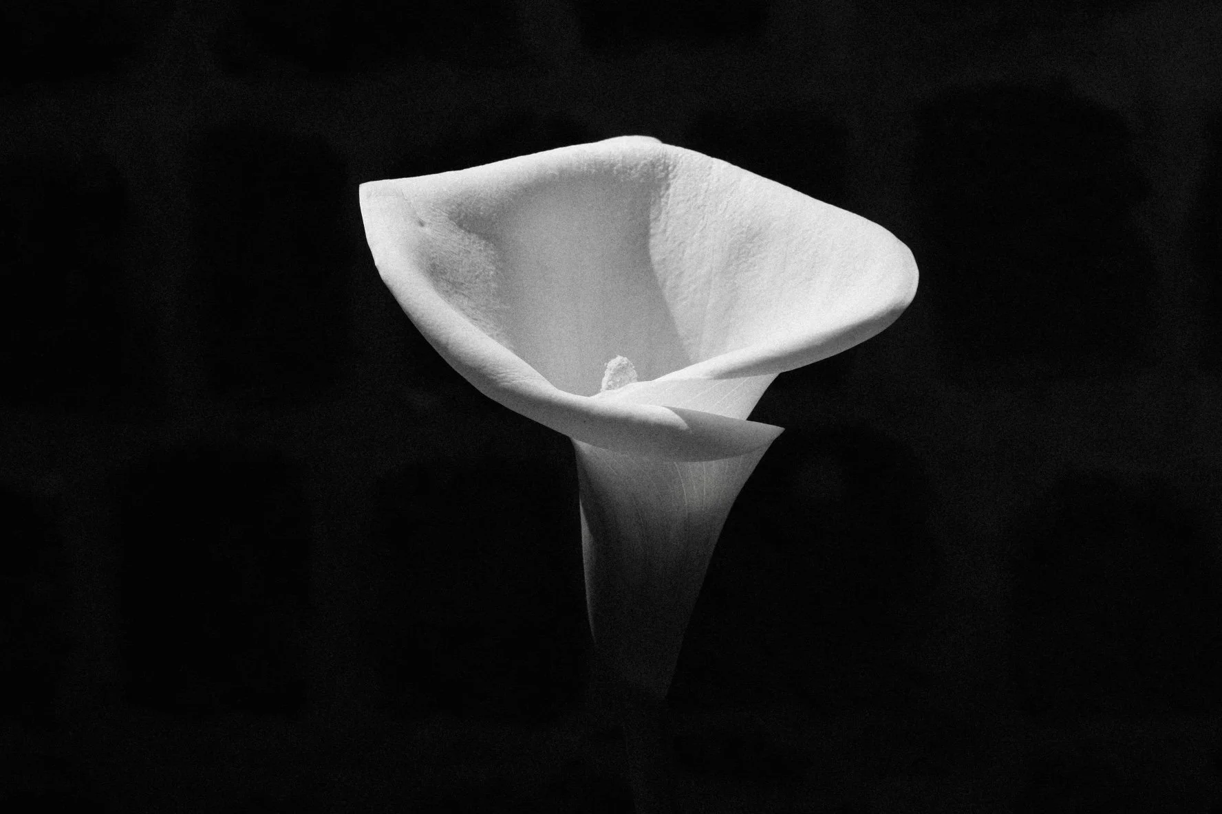 DSCF1228.jpg