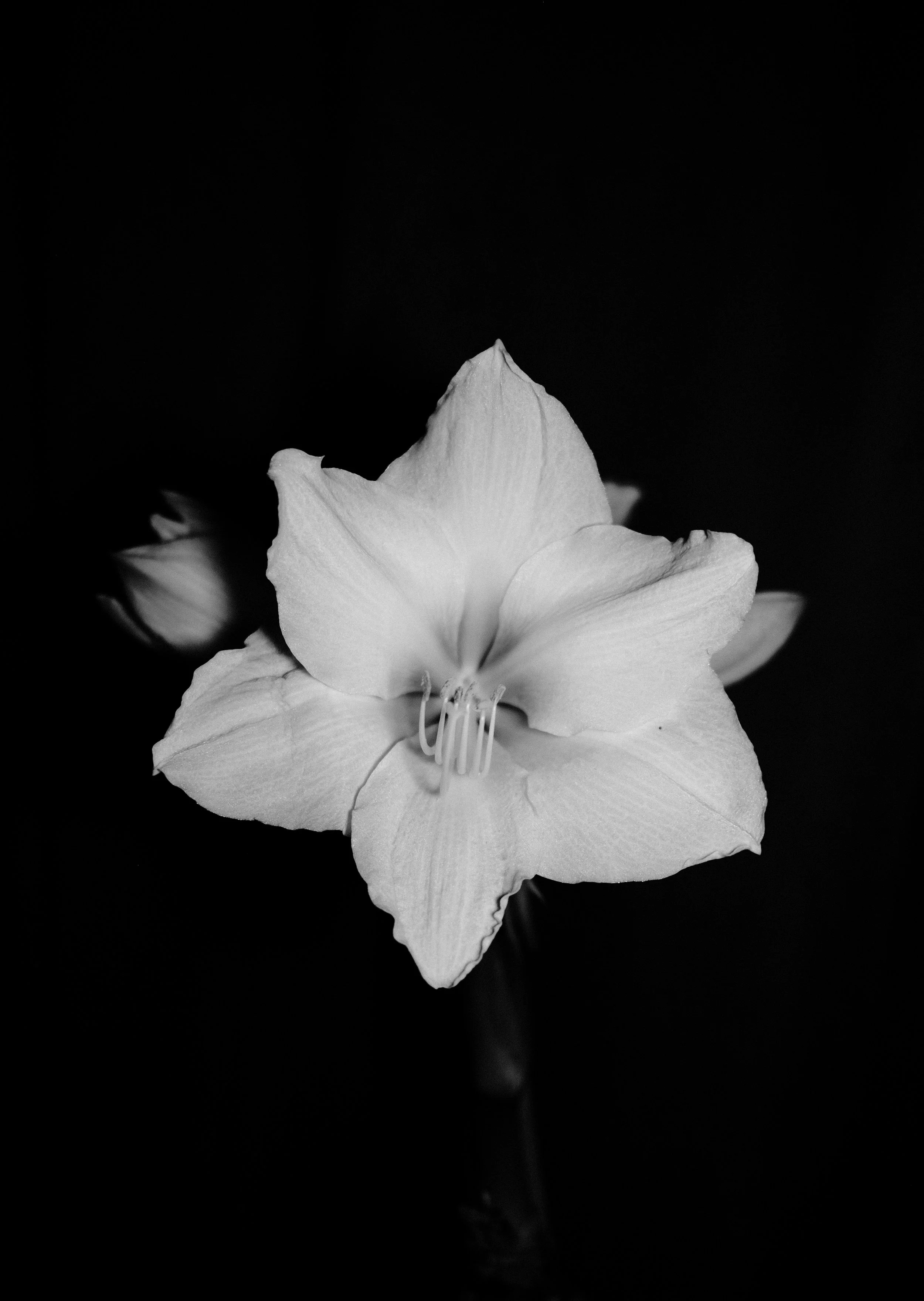 DSCF3982.jpg