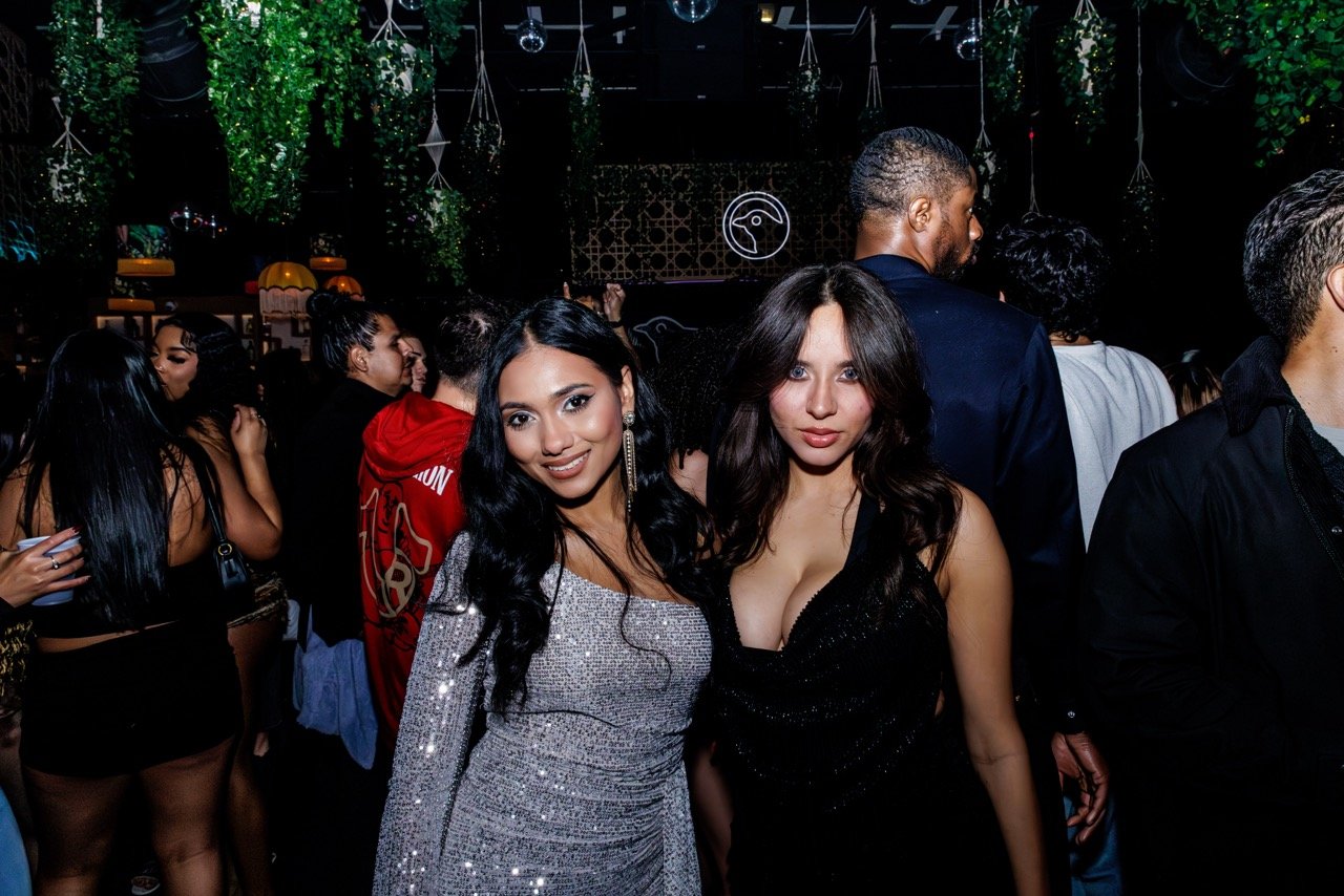 BlackBird-17 Large.jpeg