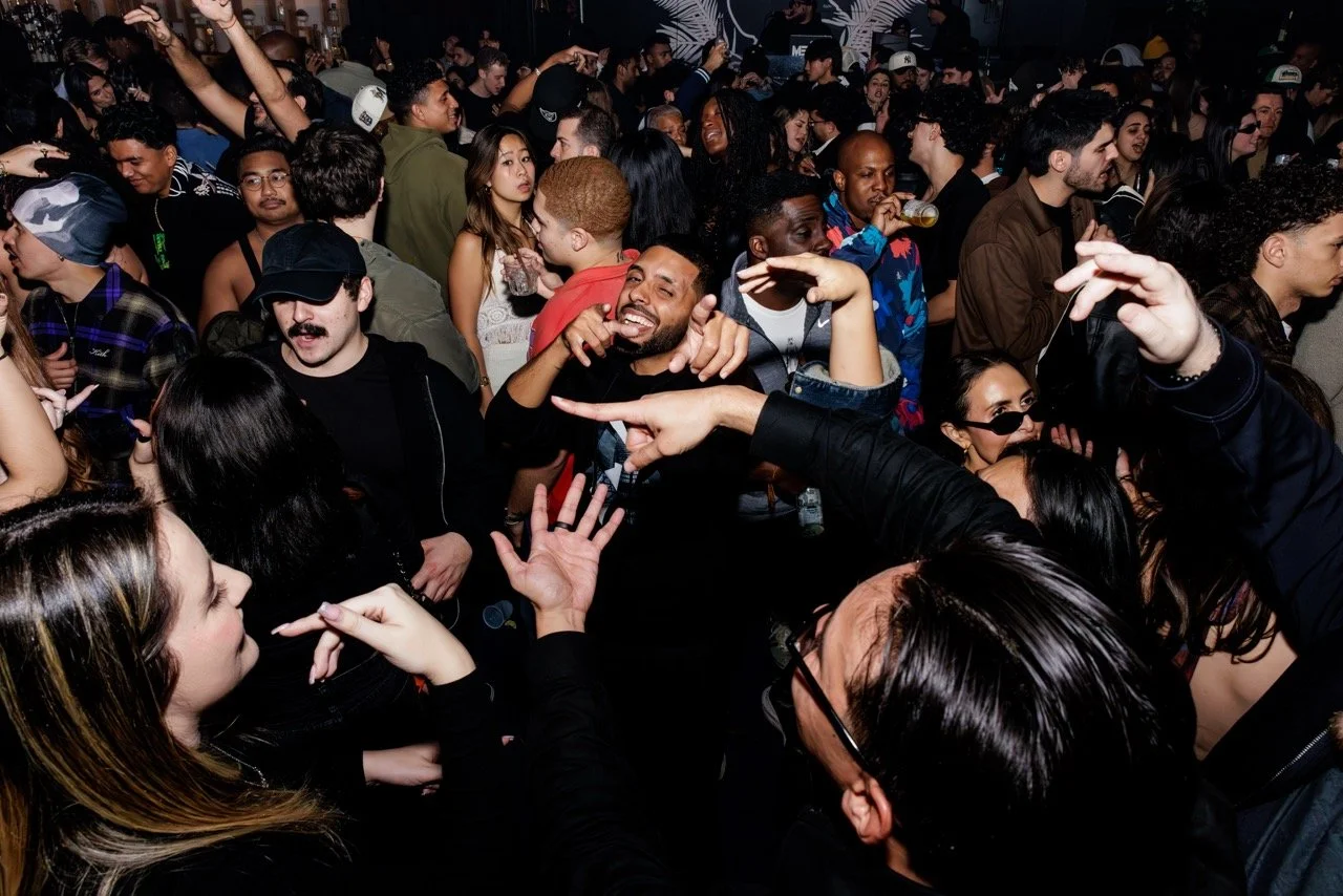 BlackBird-10 Large.jpeg