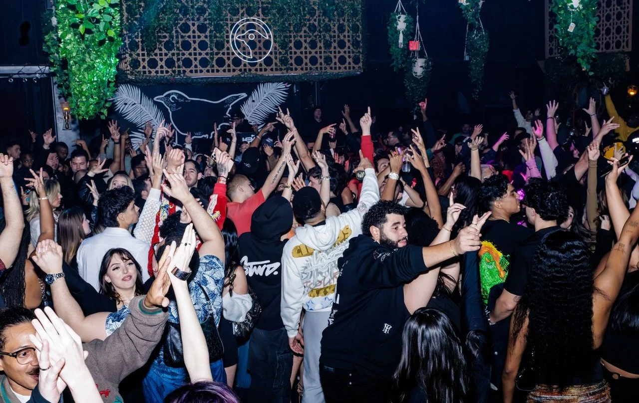 BlackBird-32 Large.jpeg